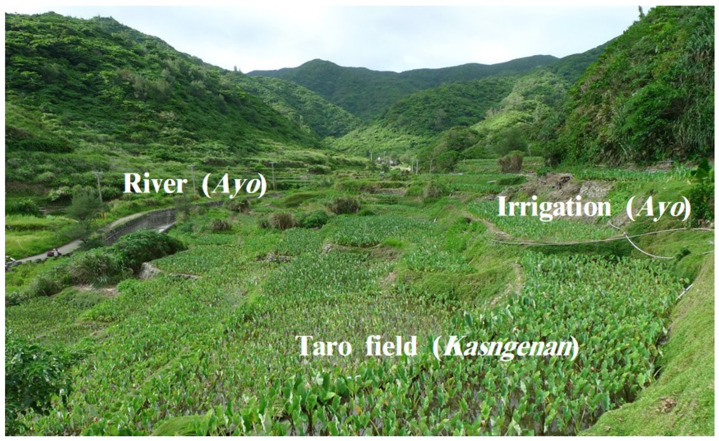 Sustainability 13 10940 g008