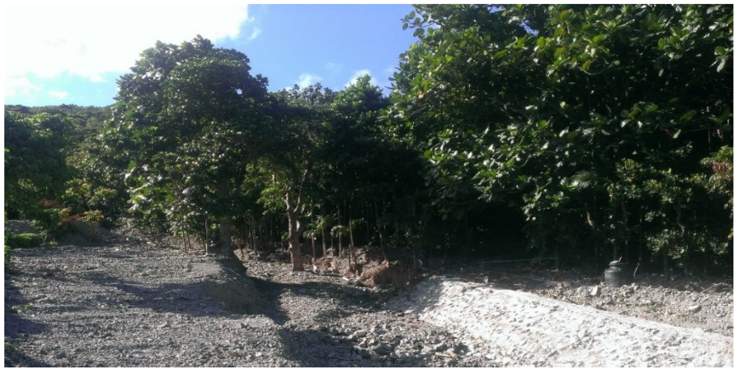 Sustainability 13 10940 g009