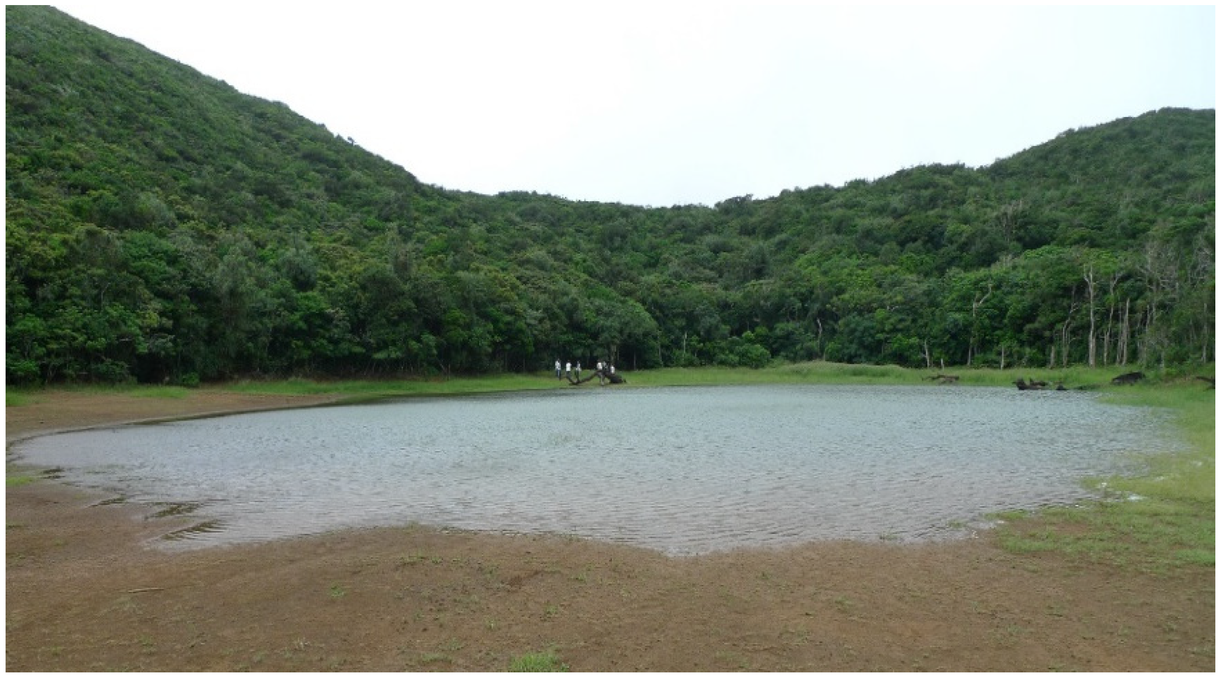 Sustainability 13 10940 g010