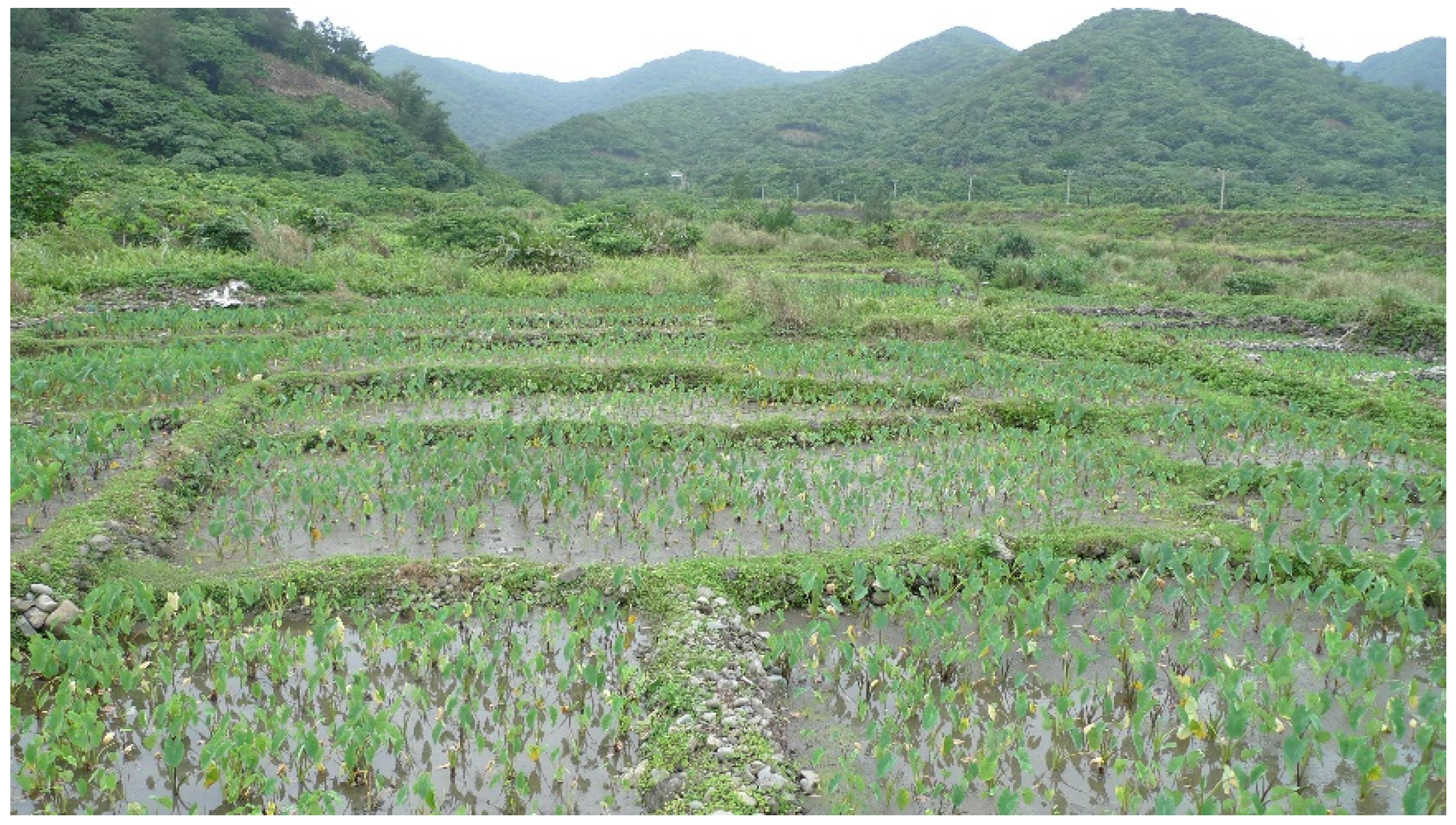 Sustainability 13 10940 g012