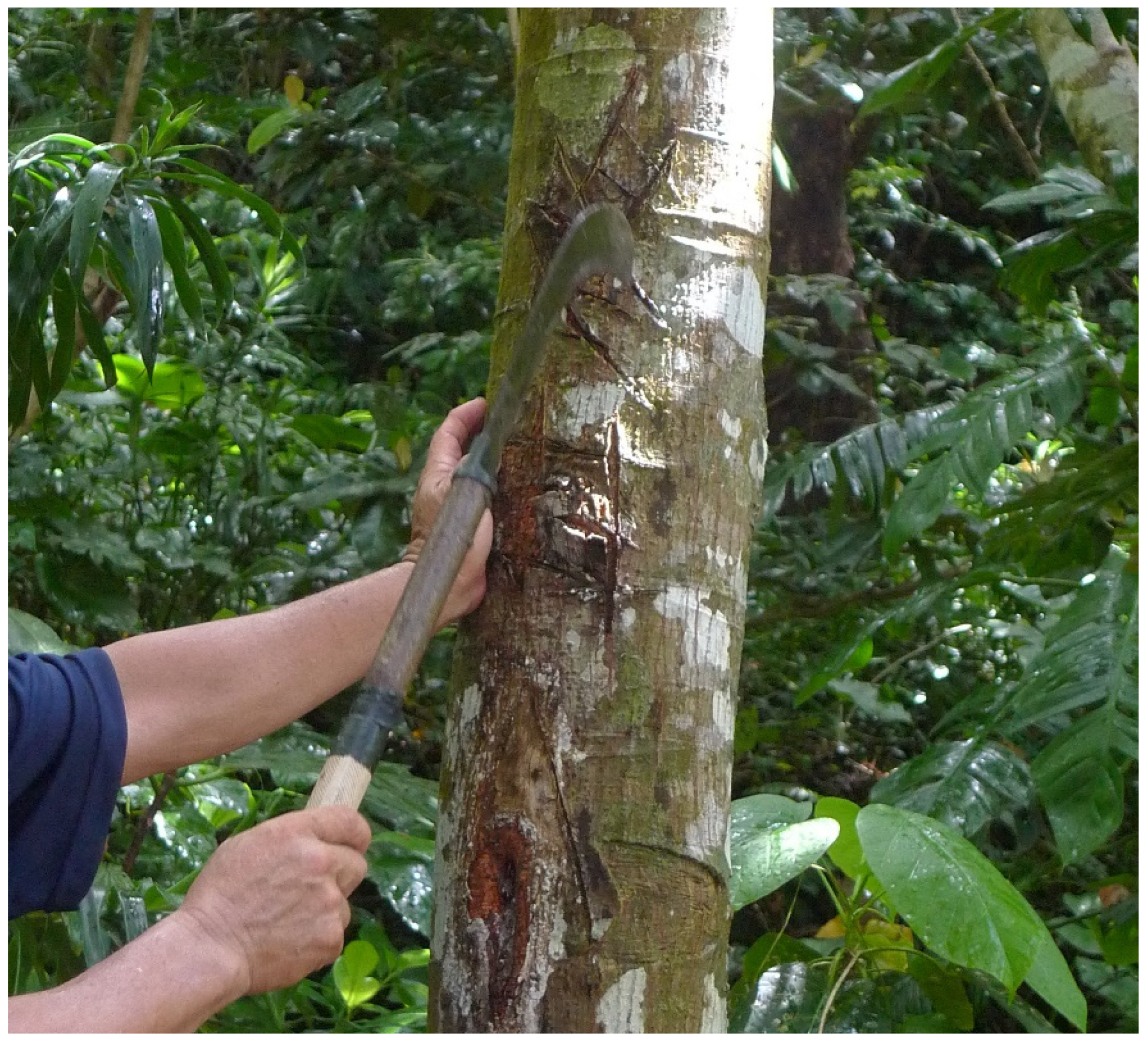 Sustainability 13 10940 g014