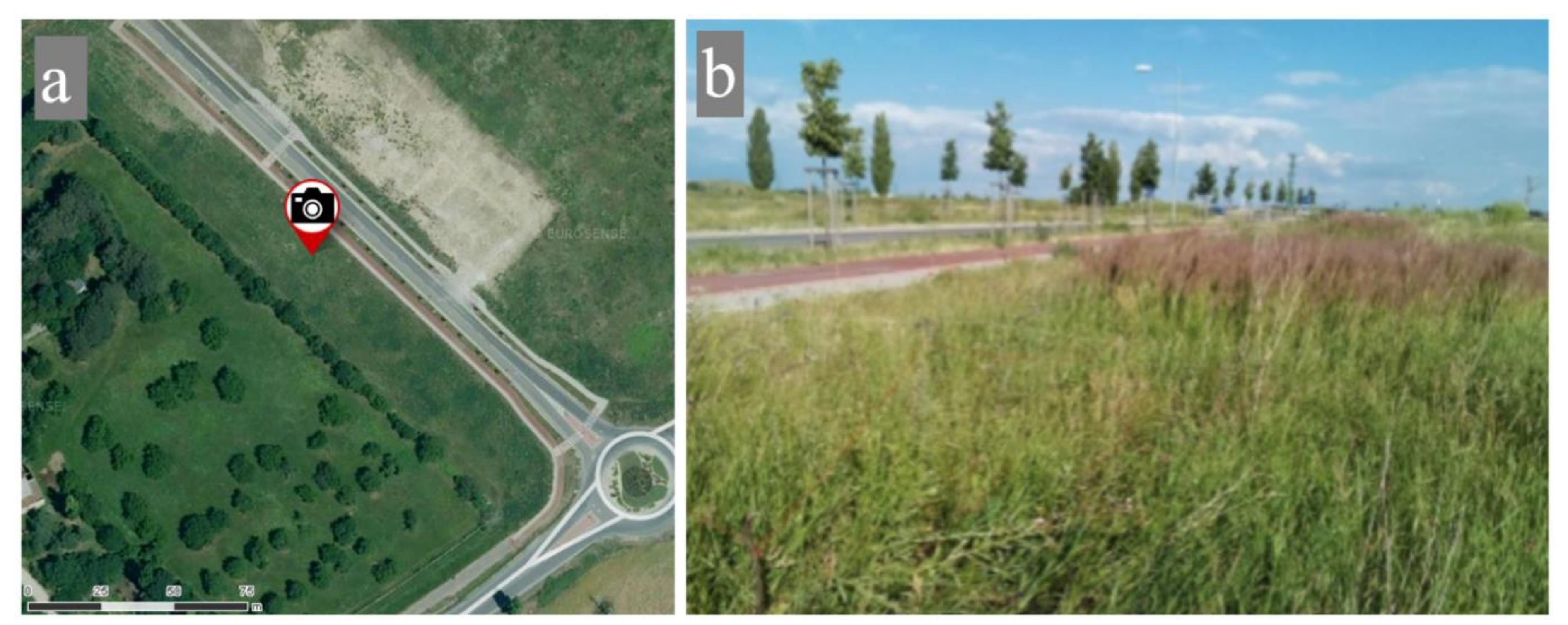 Sustainability 13 11027 g006