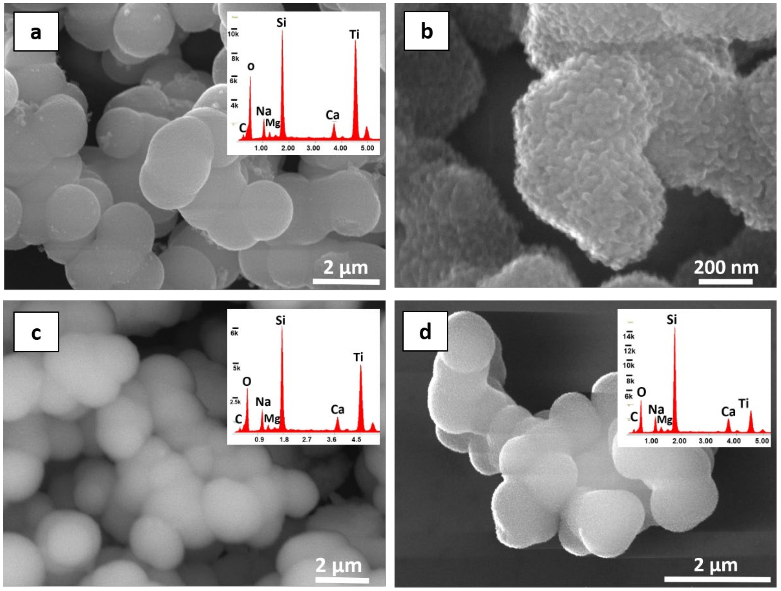 Sustainability 13 11033 g002