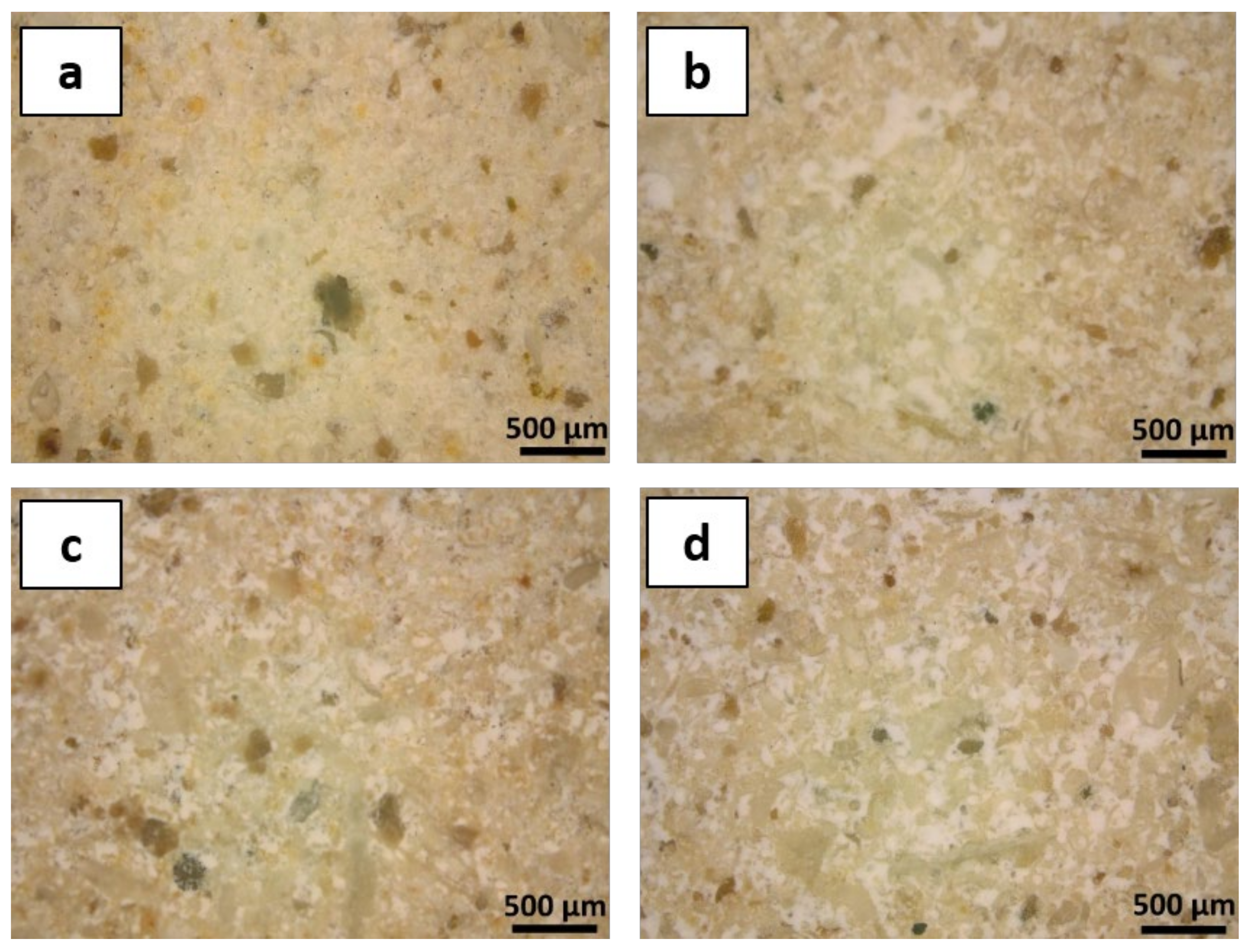 Sustainability 13 11033 g004