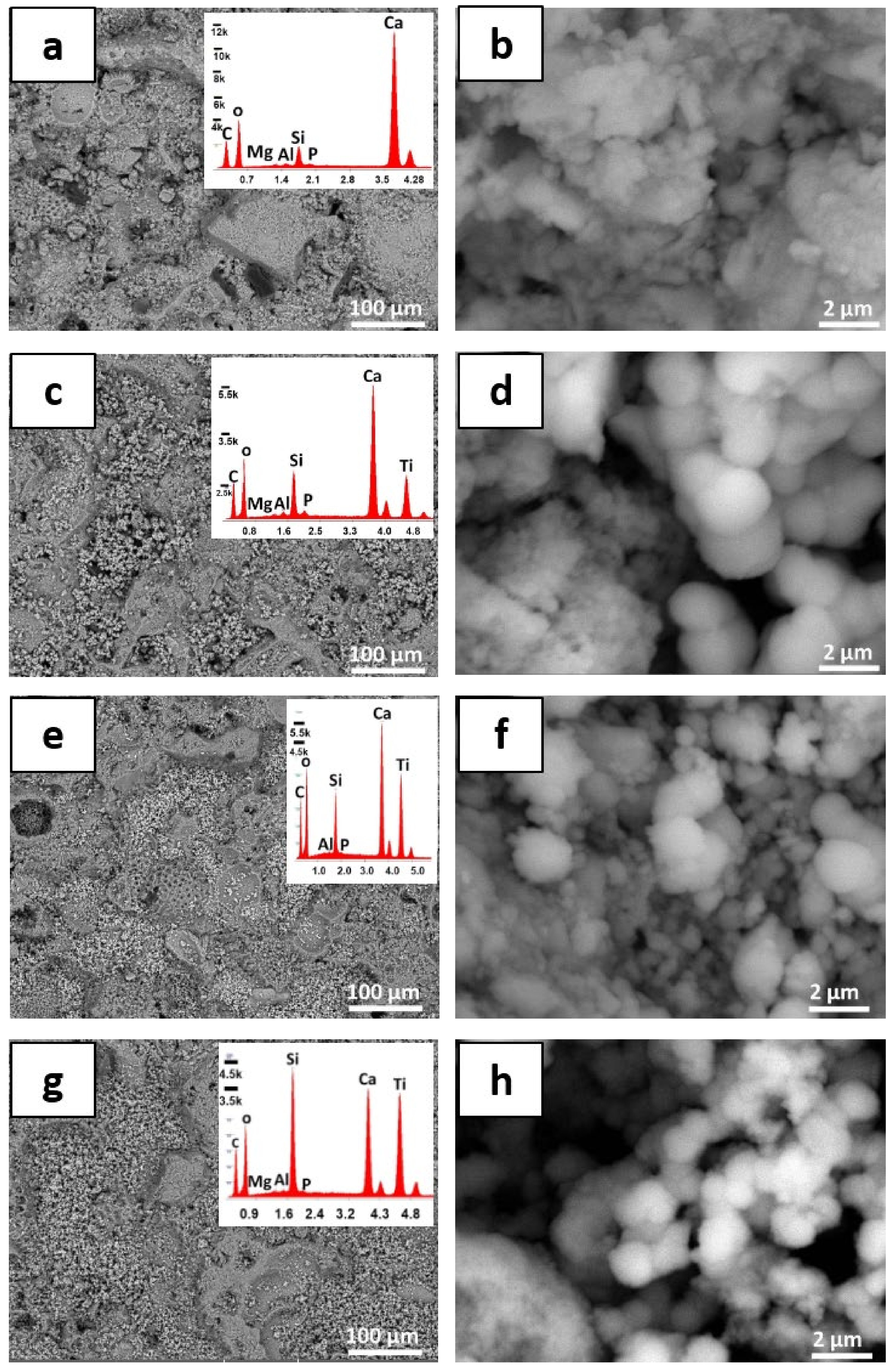Sustainability 13 11033 g005