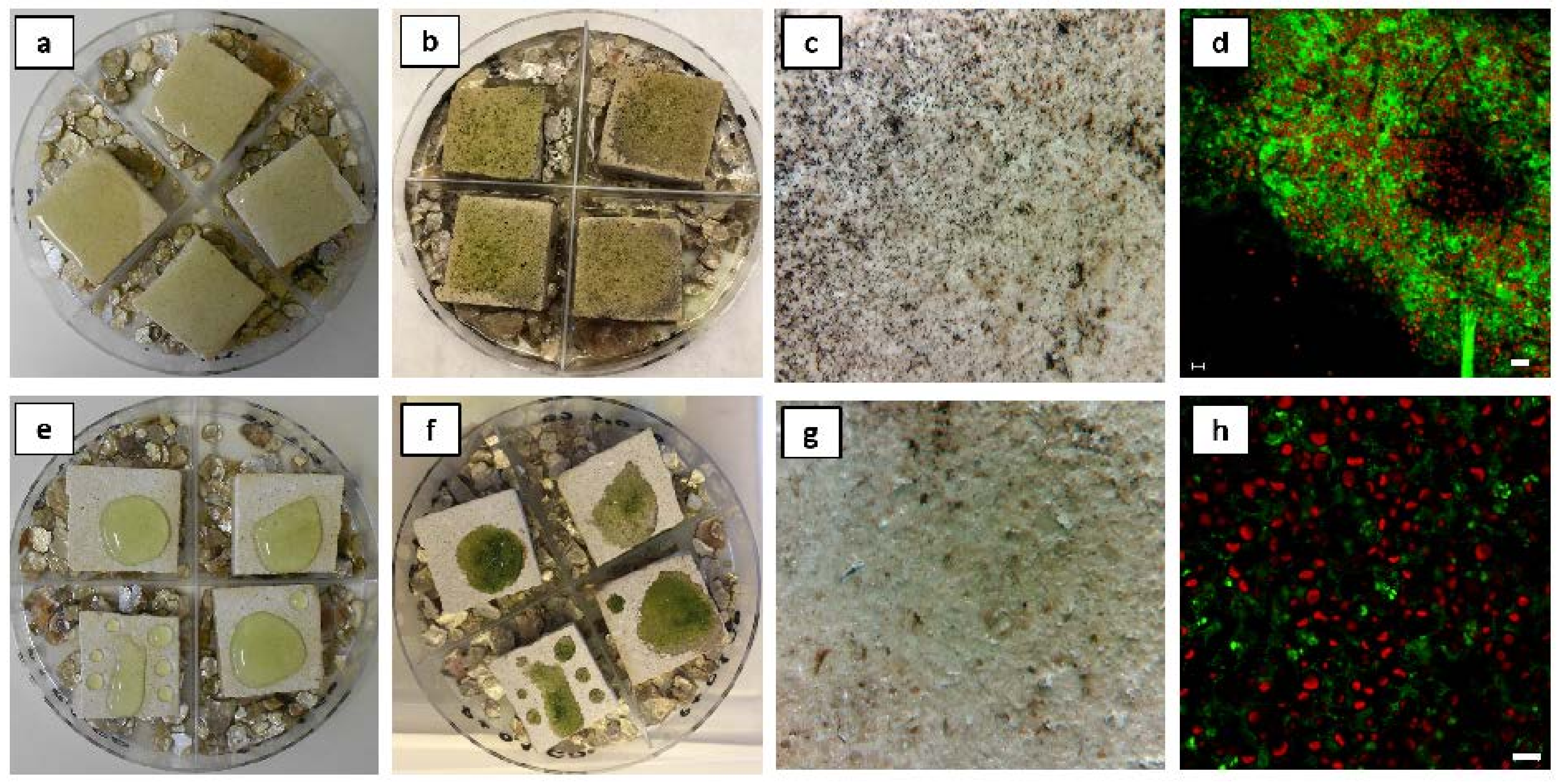 Sustainability 13 11033 g011