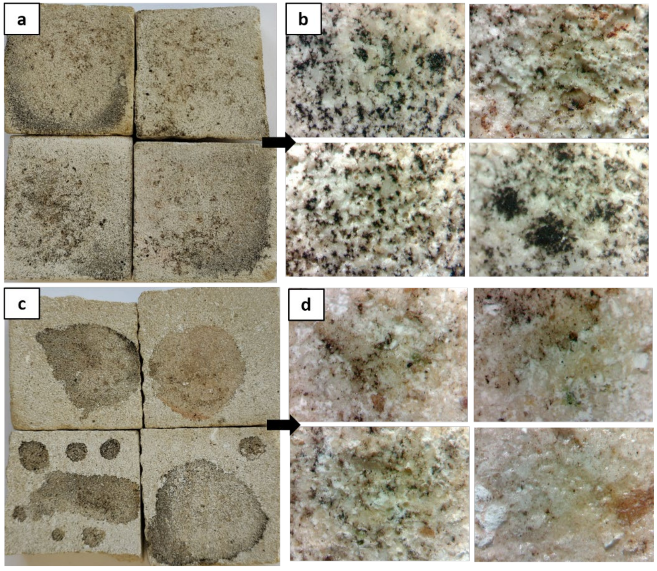 Sustainability 13 11033 g012