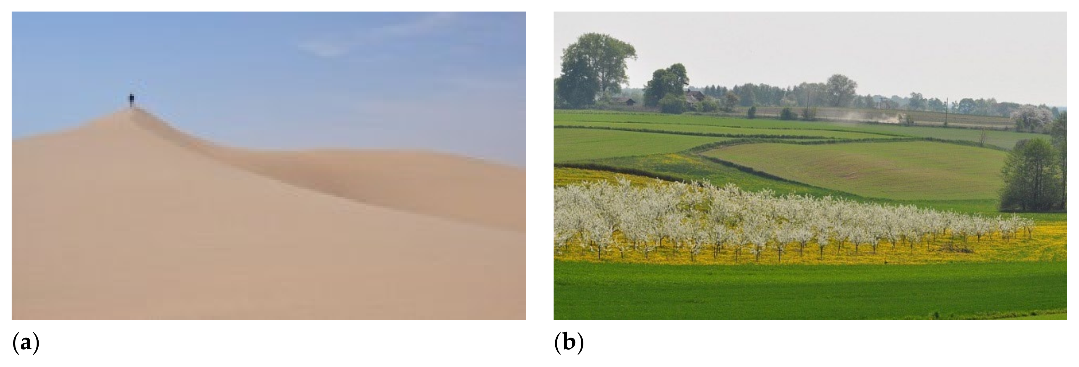 Sustainability 13 11046 g002