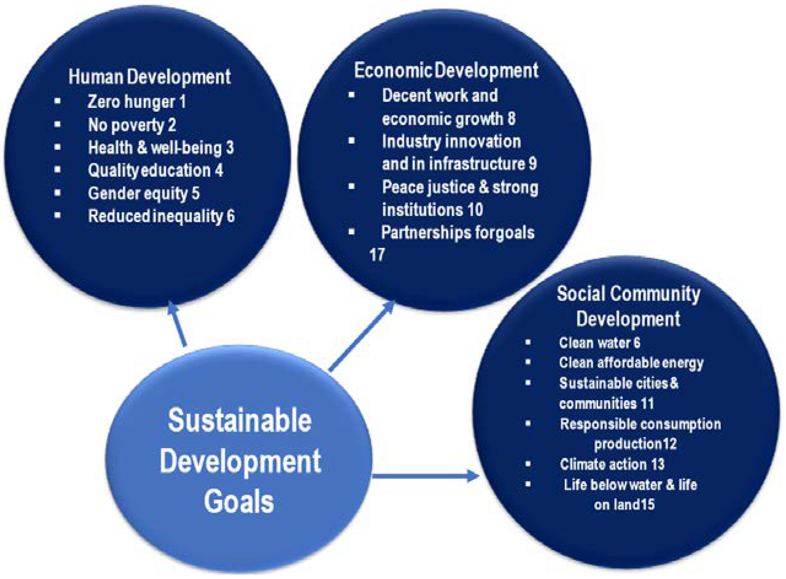 Sustainability 13 11049 g003