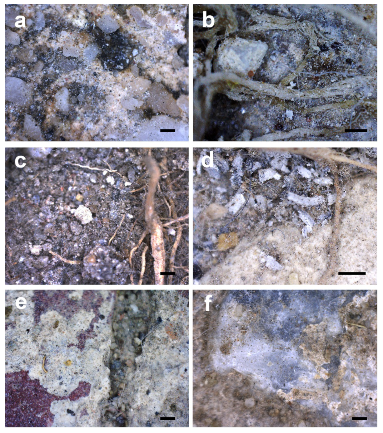 Sustainability 13 11083 g006