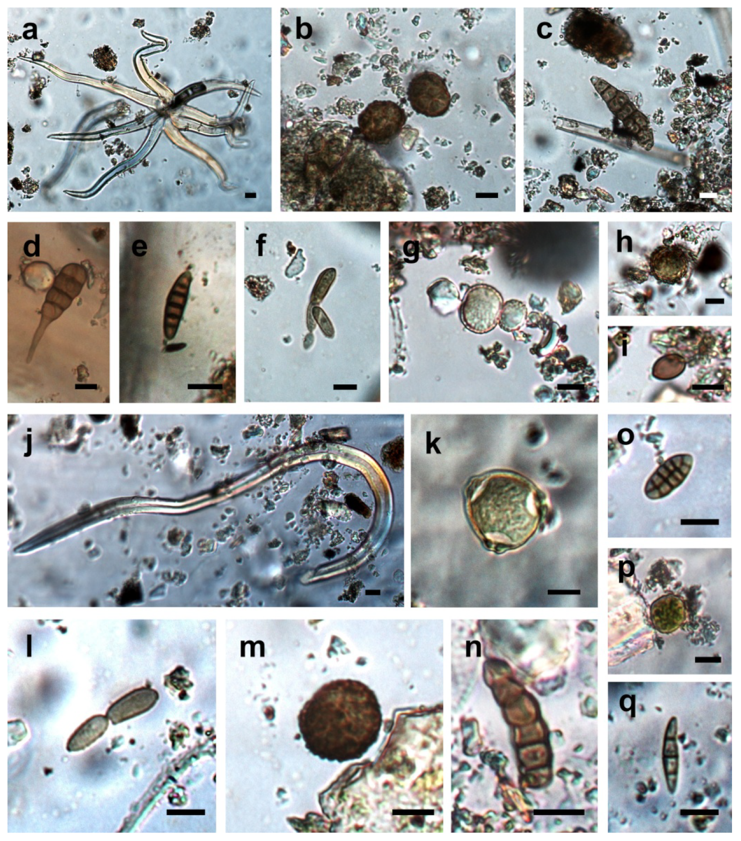 Sustainability 13 11083 g007