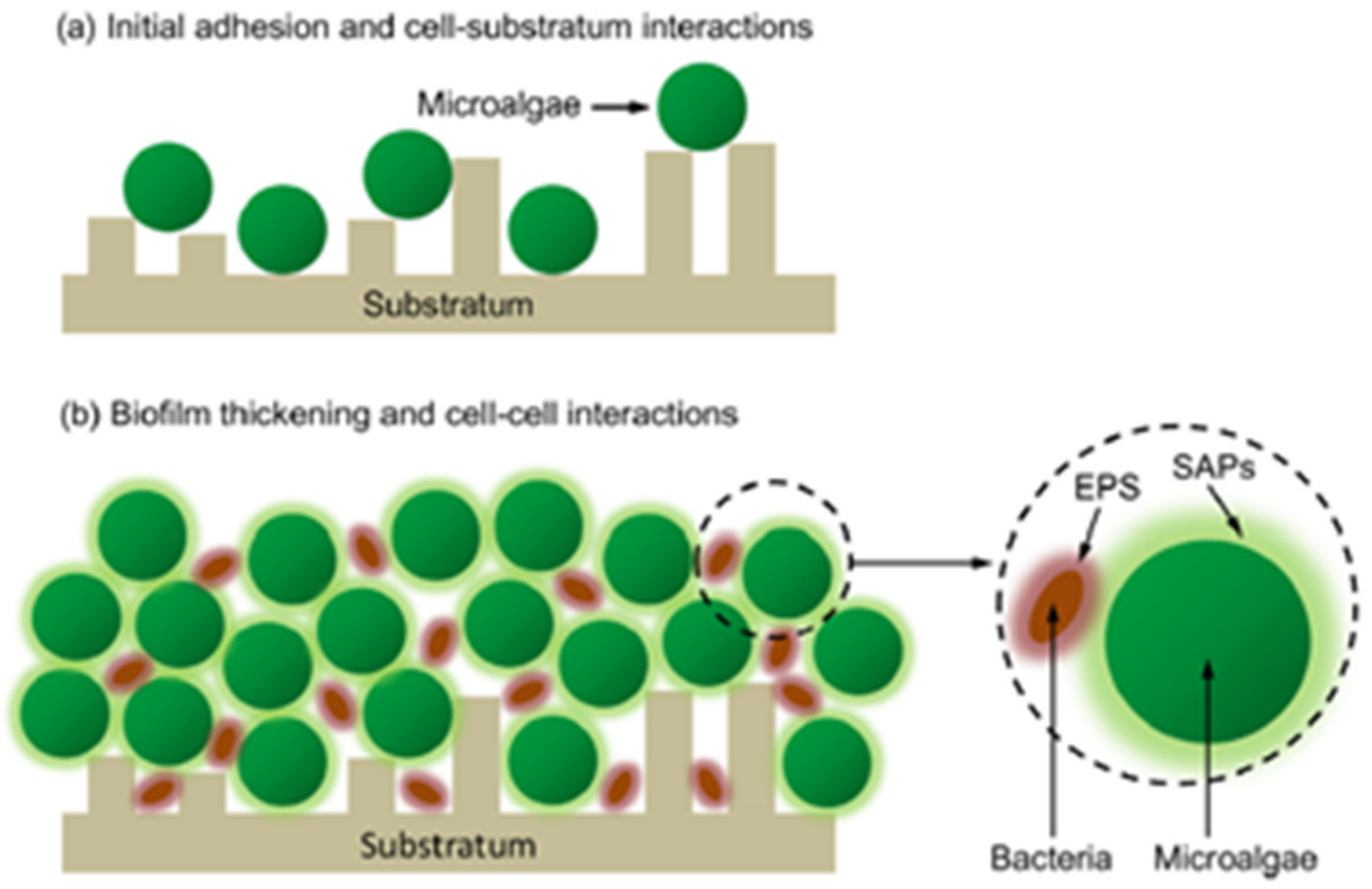 Sustainability 13 11159 g002