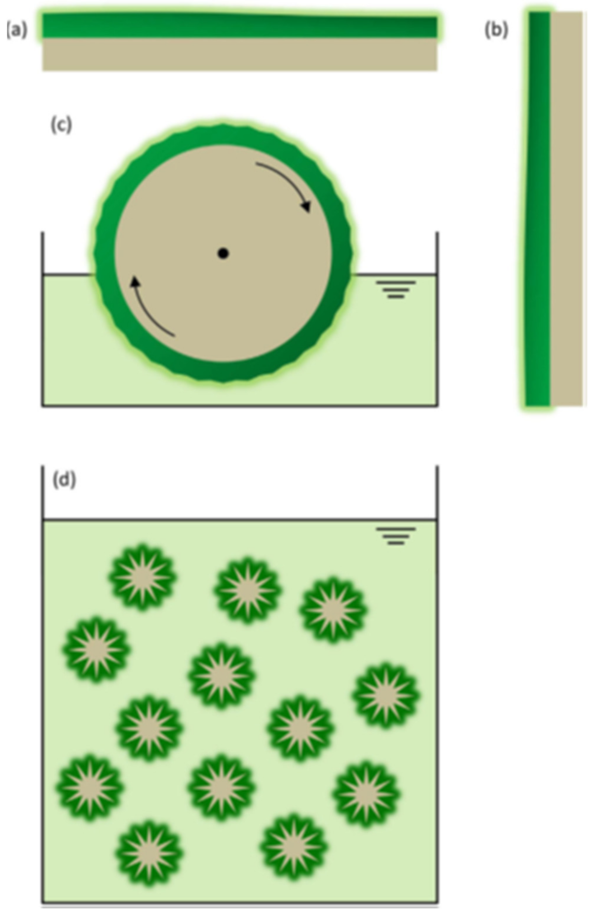 Sustainability 13 11159 g003