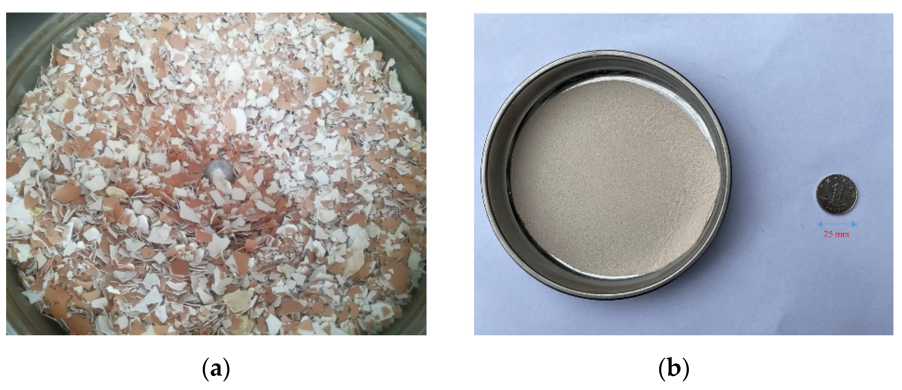 Sustainability 13 11173 g001