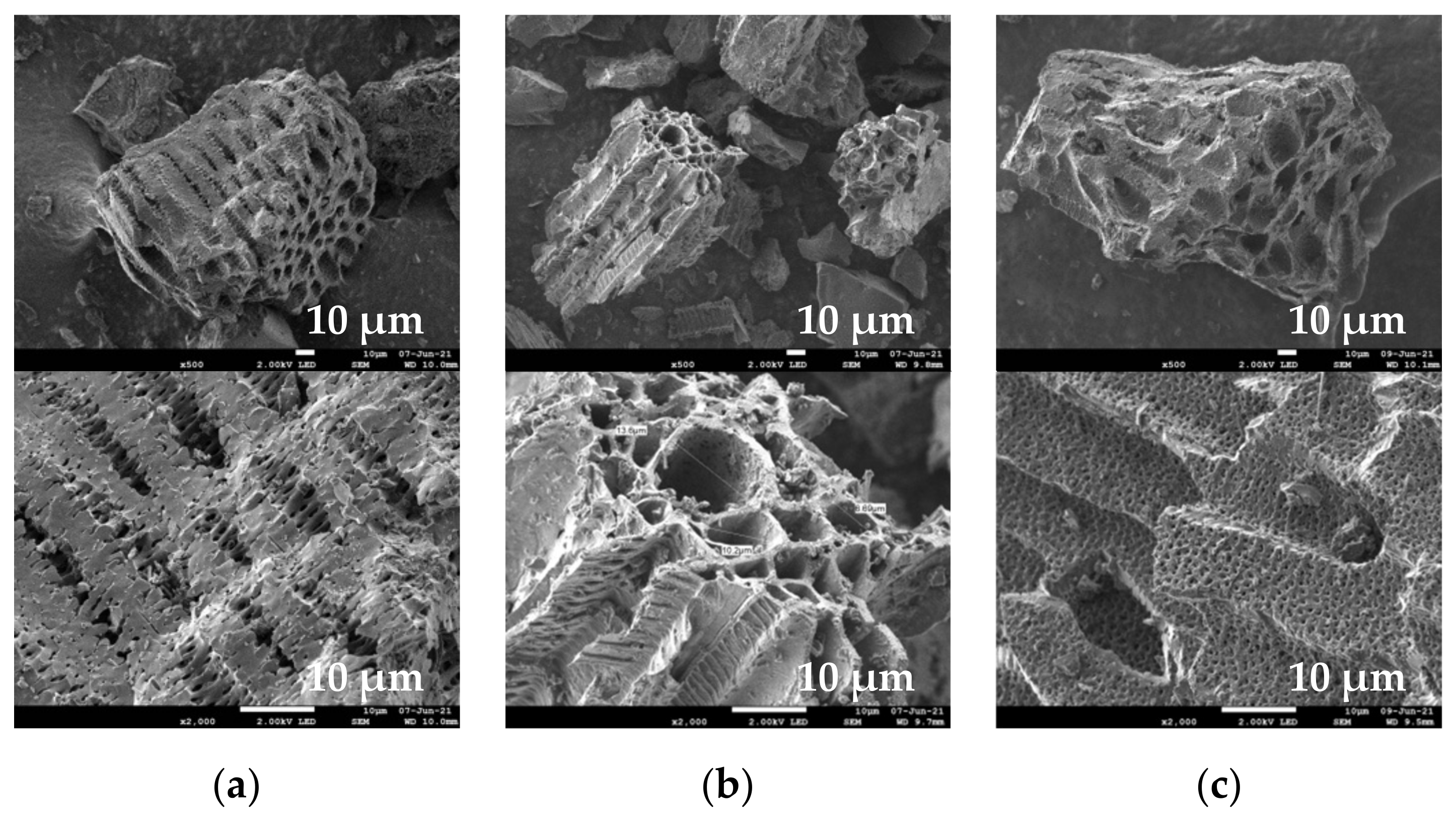 Sustainability 13 11187 g008