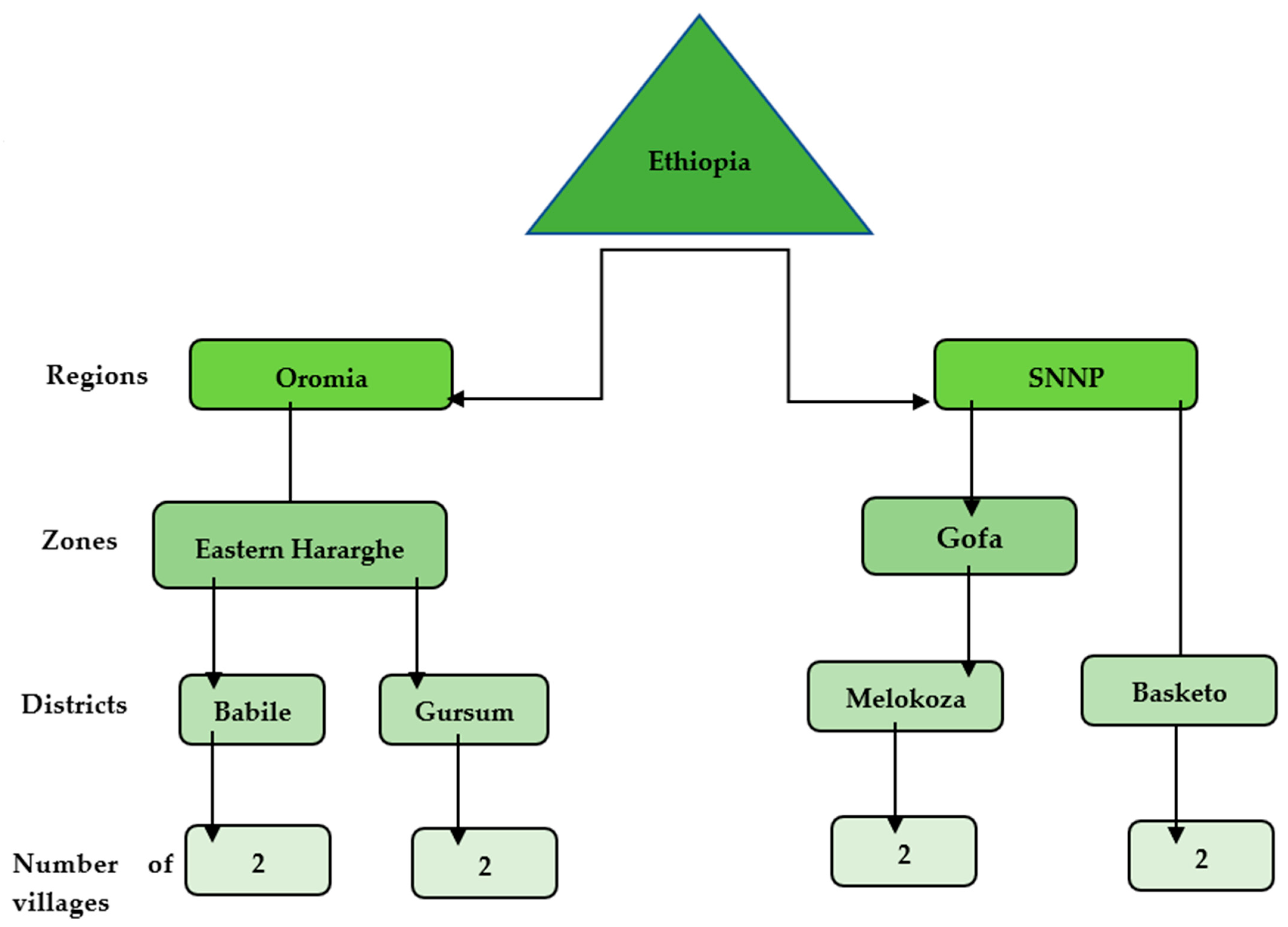 Sustainability 13 11202 g002