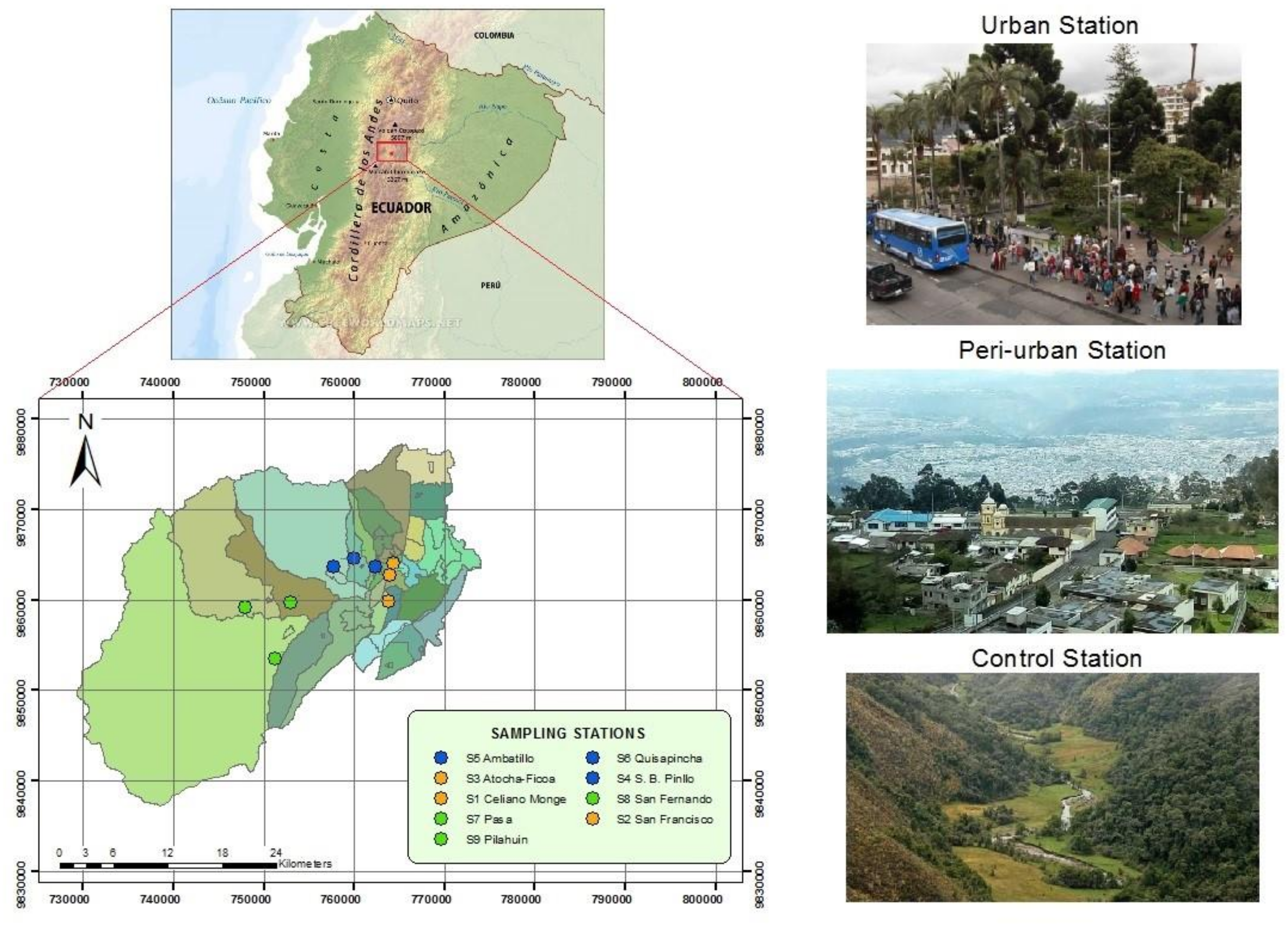 Sustainability 13 11218 g001