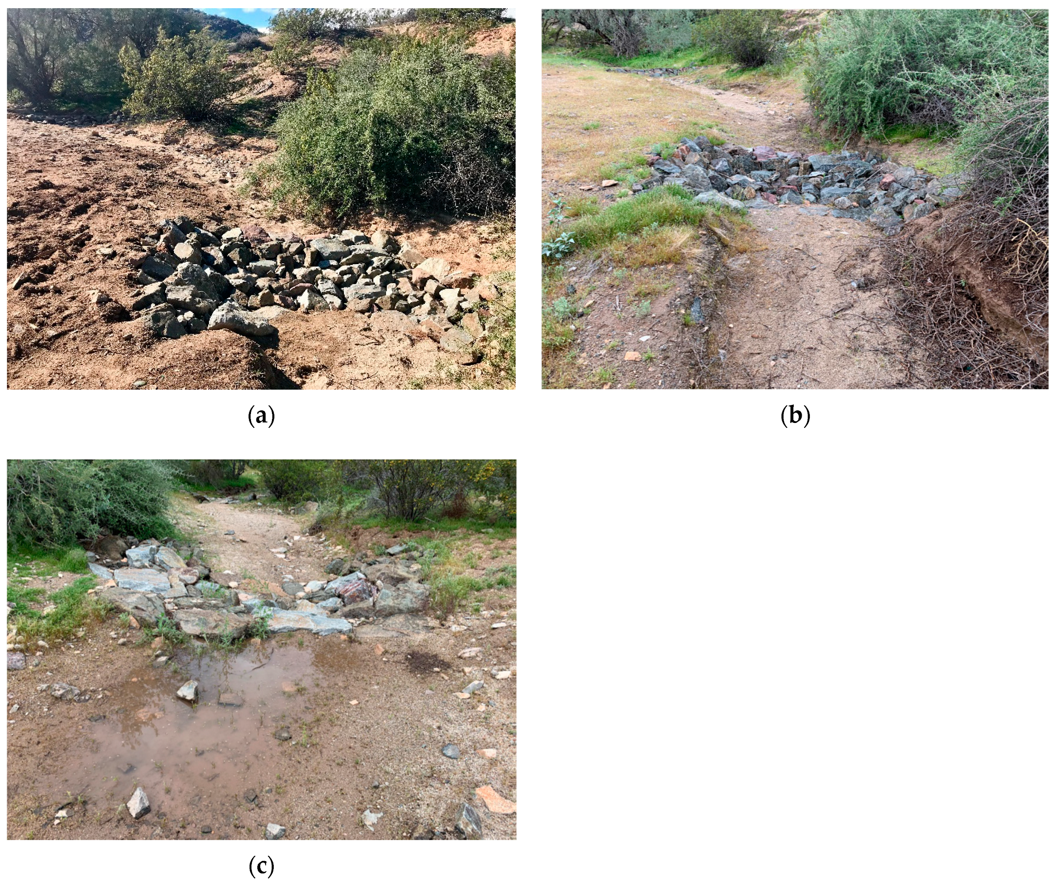 Sustainability 13 11268 g002