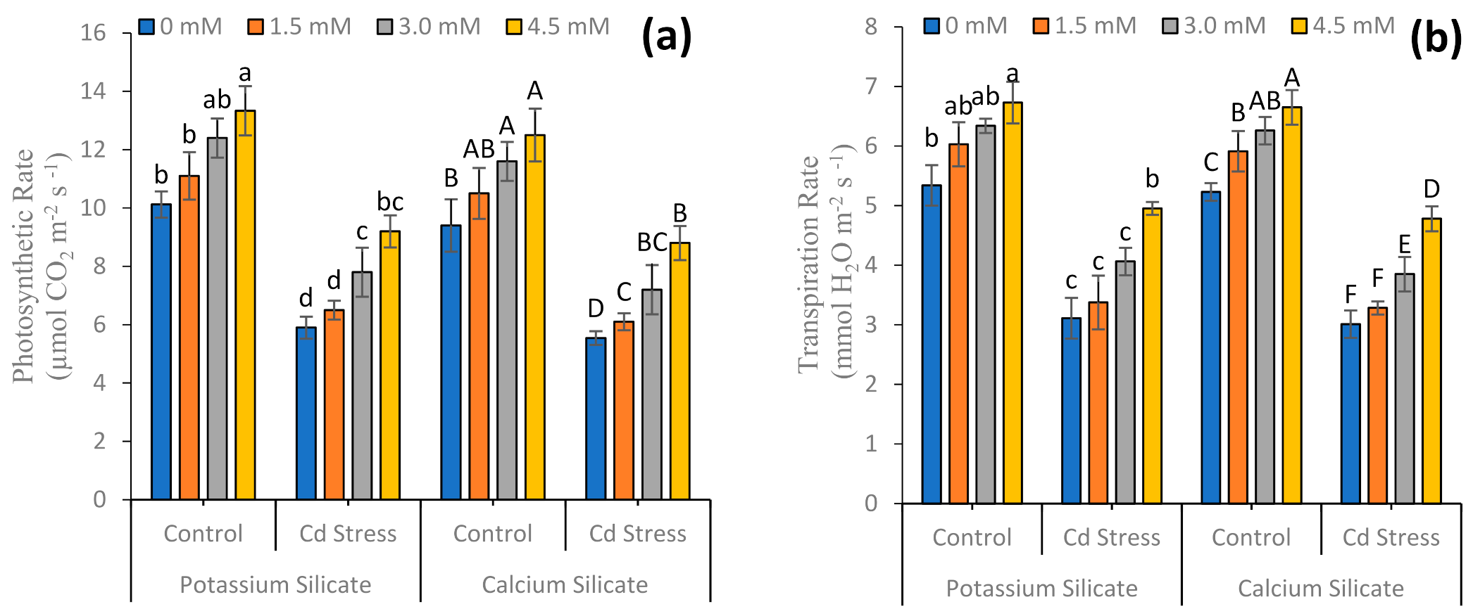 Sustainability 13 11317 g001a