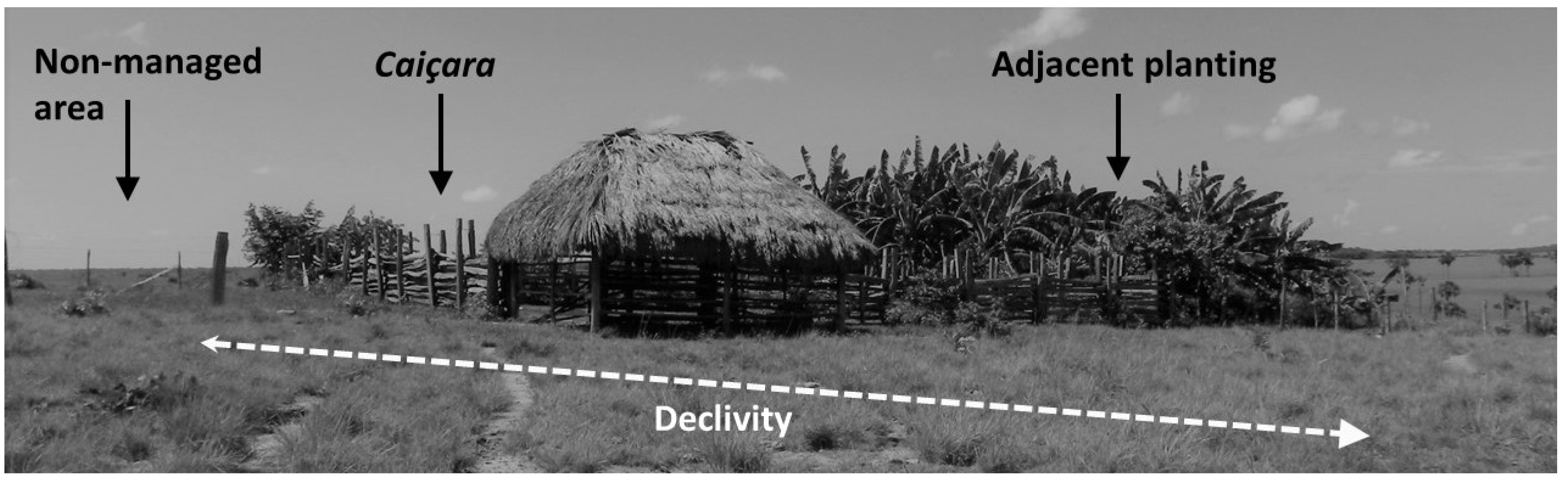 Sustainability 13 11354 g001 Sustainability 13 11354 g001