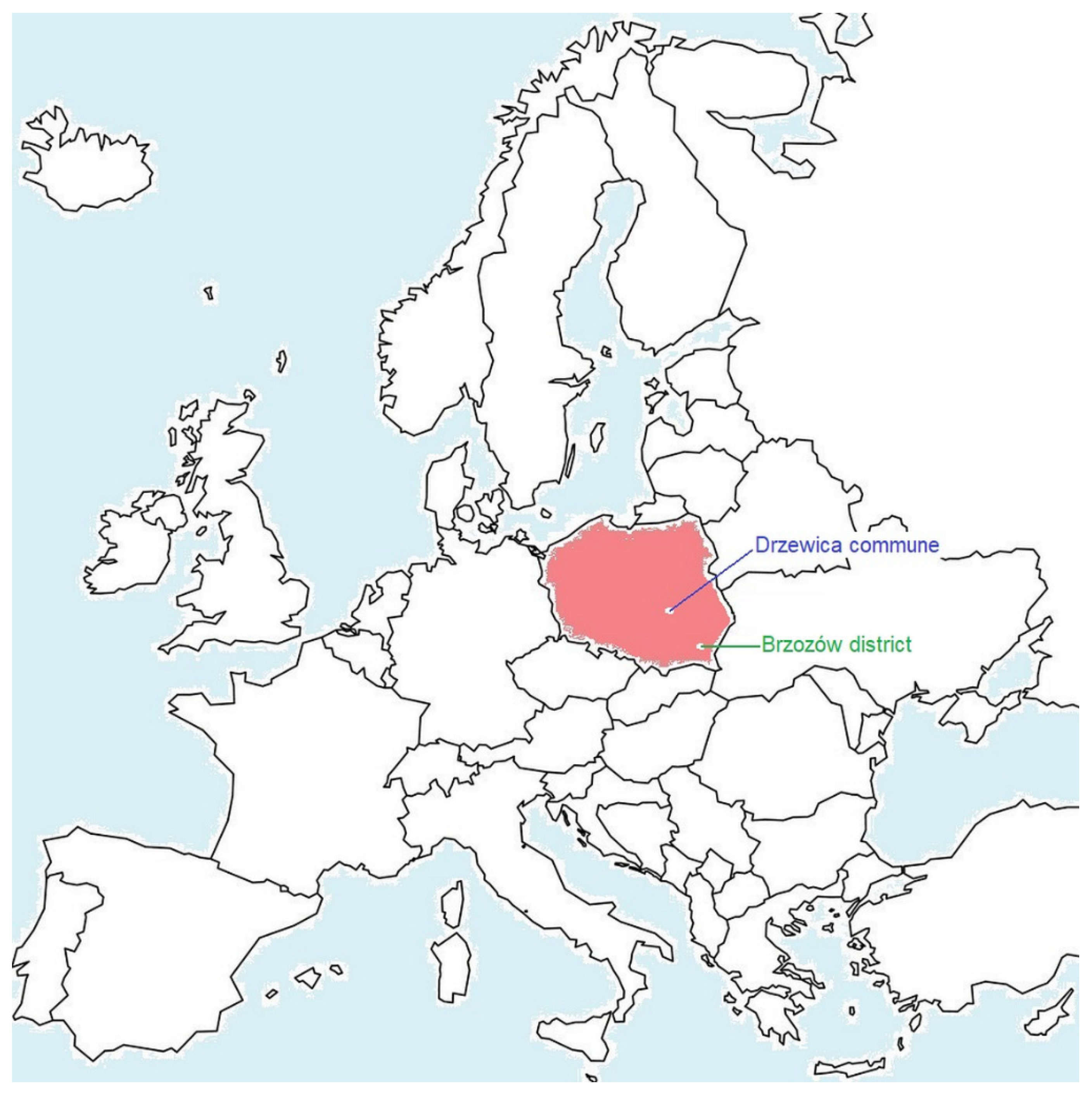 Sustainability 13 11404 g004