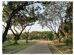 Sustainability 13 11426 i006