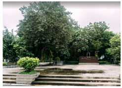 Sustainability 13 11426 i009