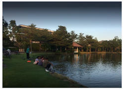 Sustainability 13 11426 i012