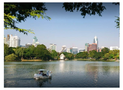 Sustainability 13 11426 i015