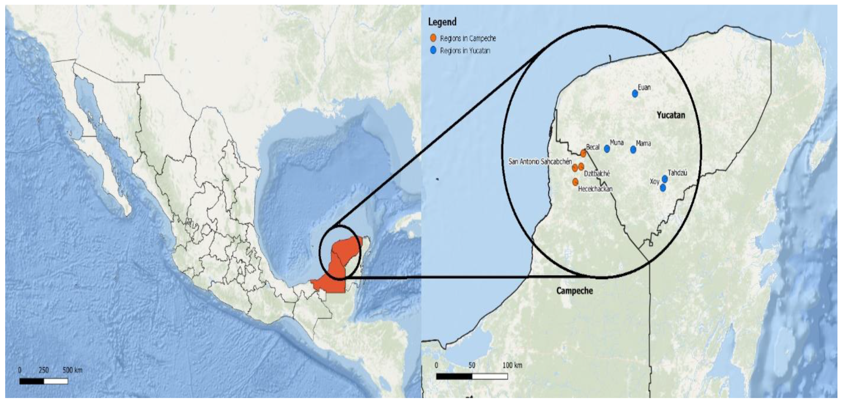 Sustainability 13 11503 g001