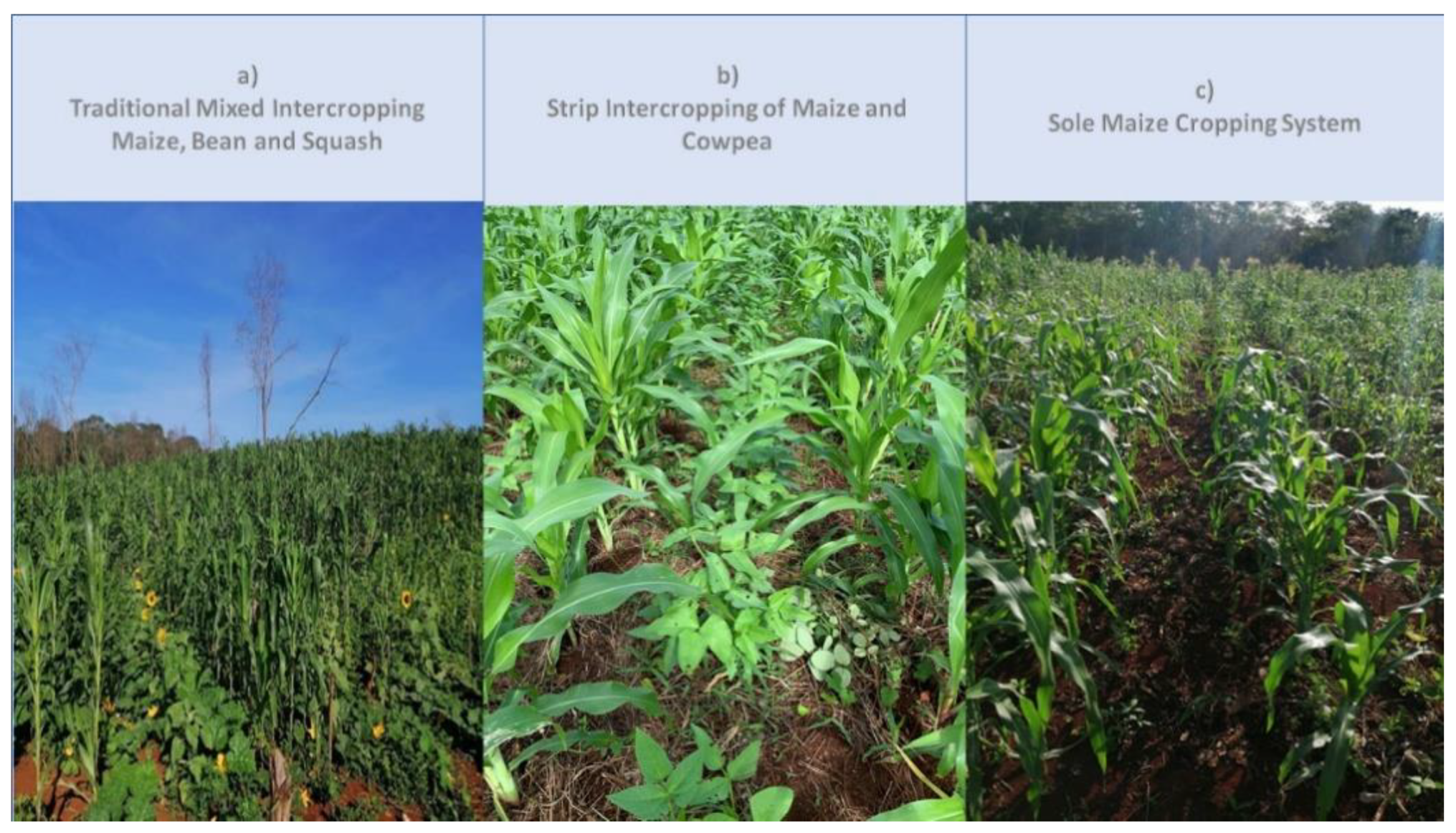 Sustainability 13 11503 g003