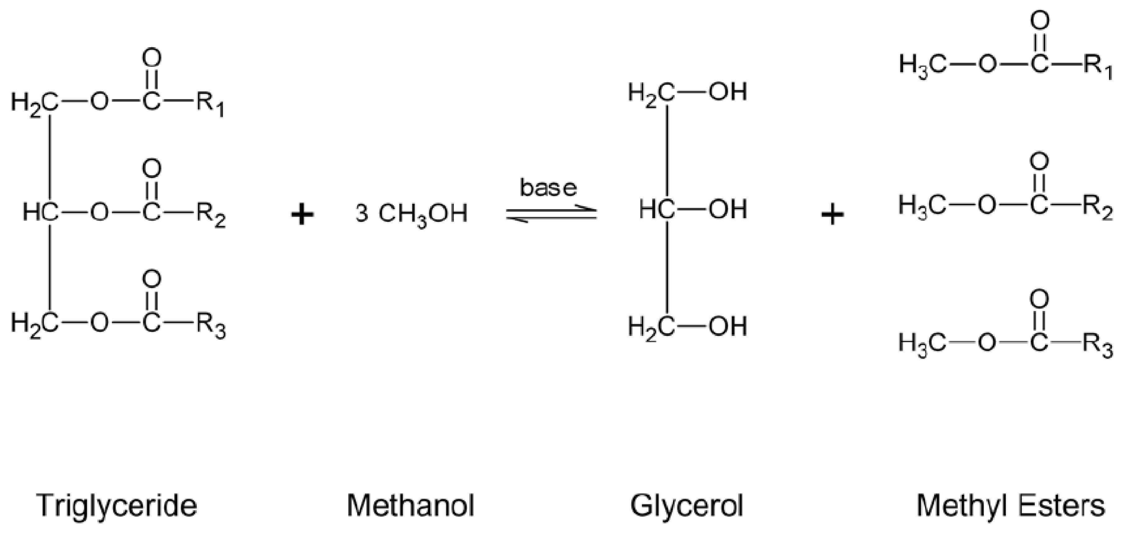 Sustainability 13 11506 g004