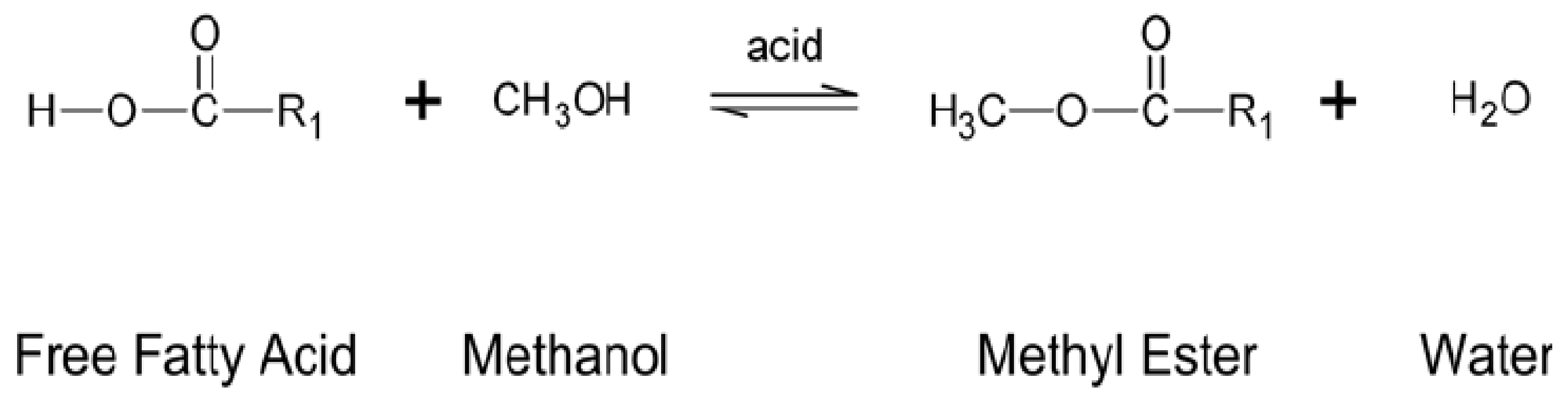 Sustainability 13 11506 g005