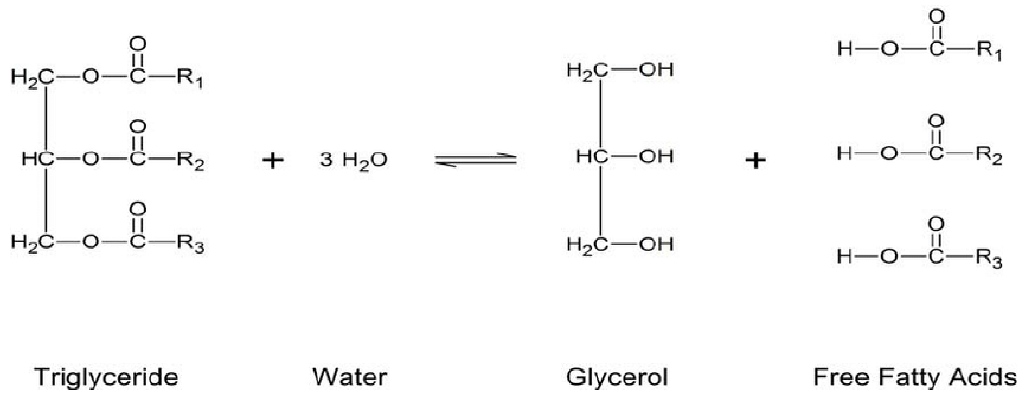 Sustainability 13 11506 g006