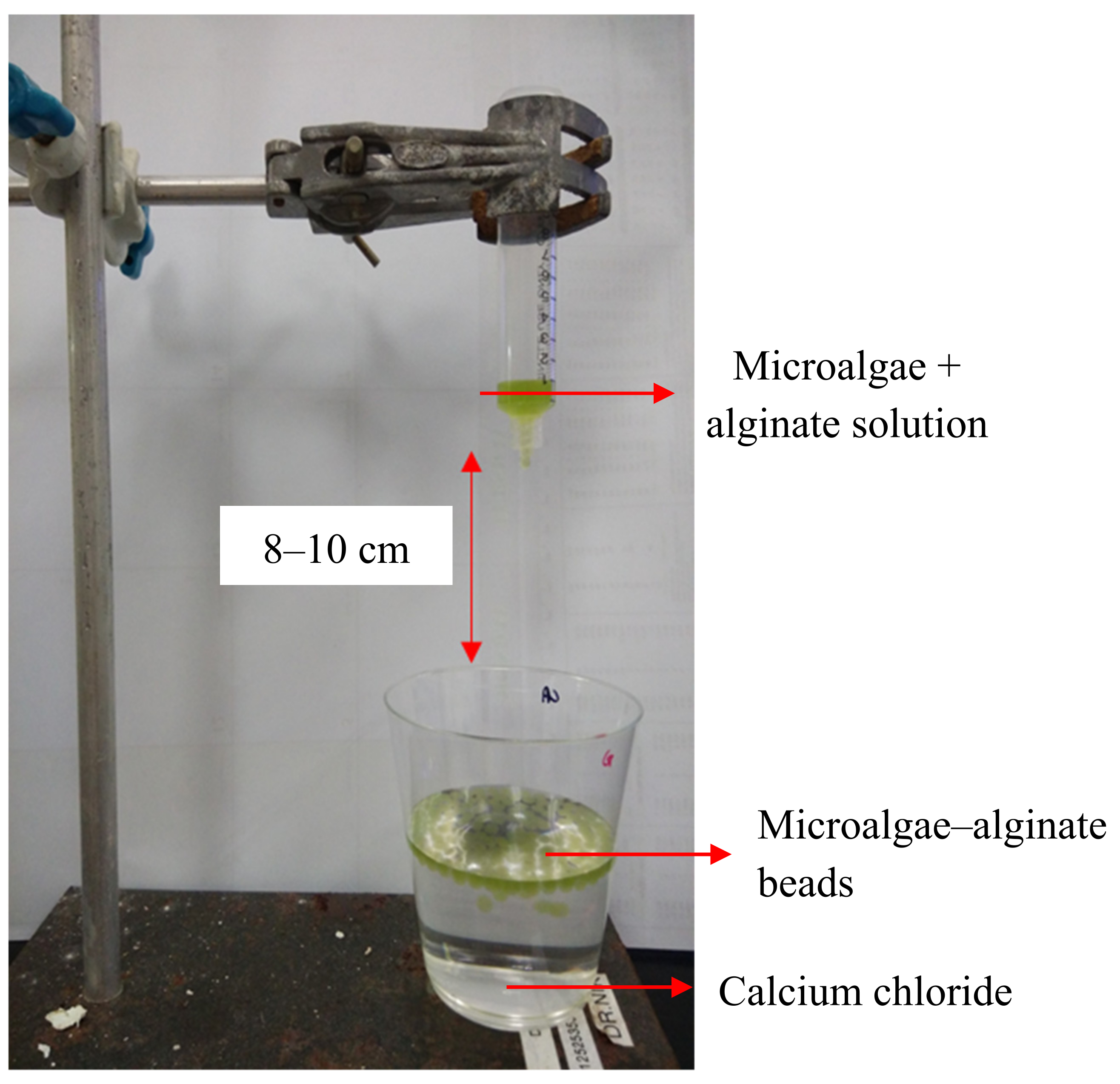 Sustainability 13 11562 g002