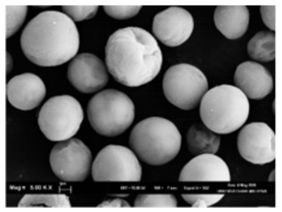 Sustainability 13 11562 i002