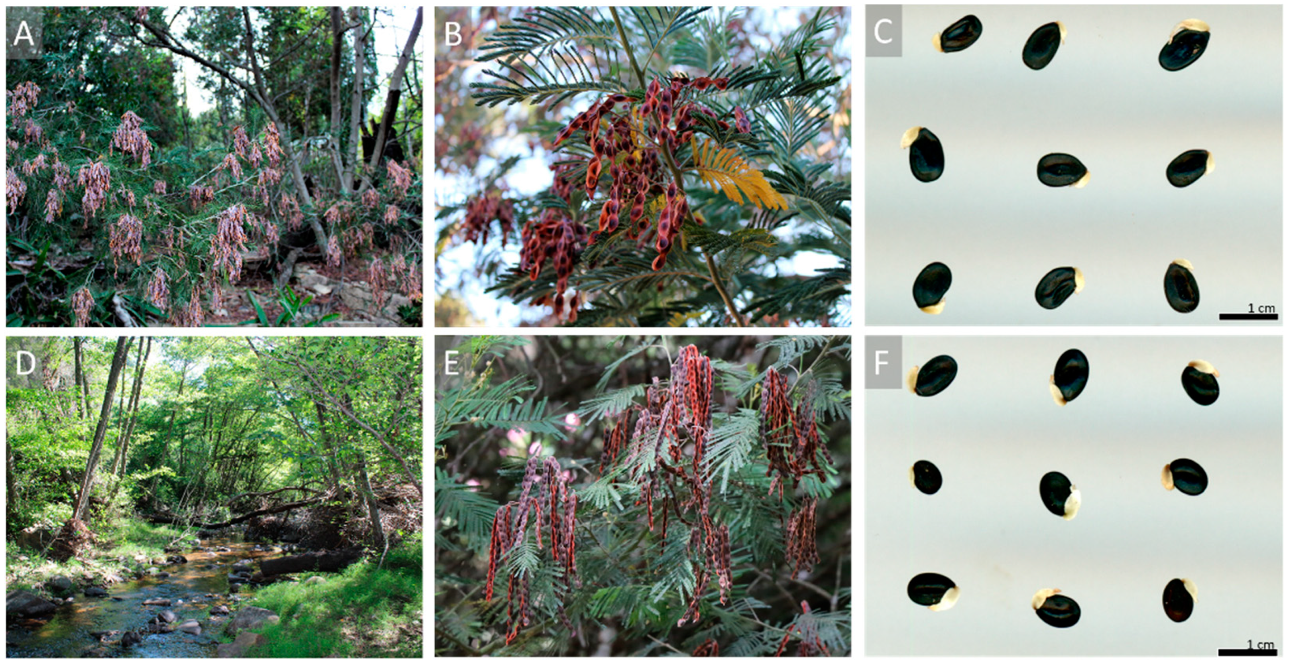 Sustainability 13 11588 g002