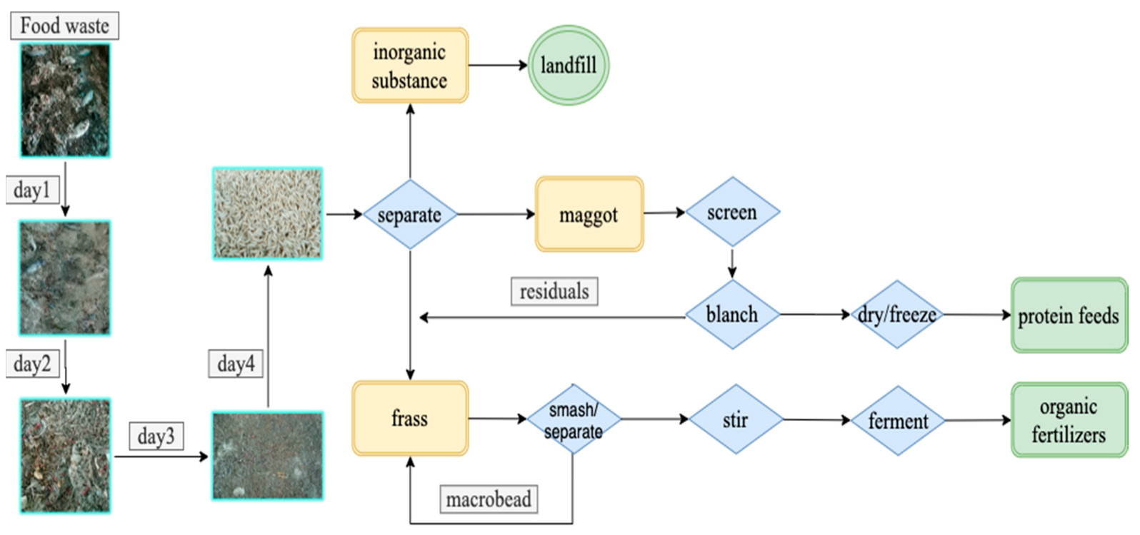 Sustainability 13 11598 g004