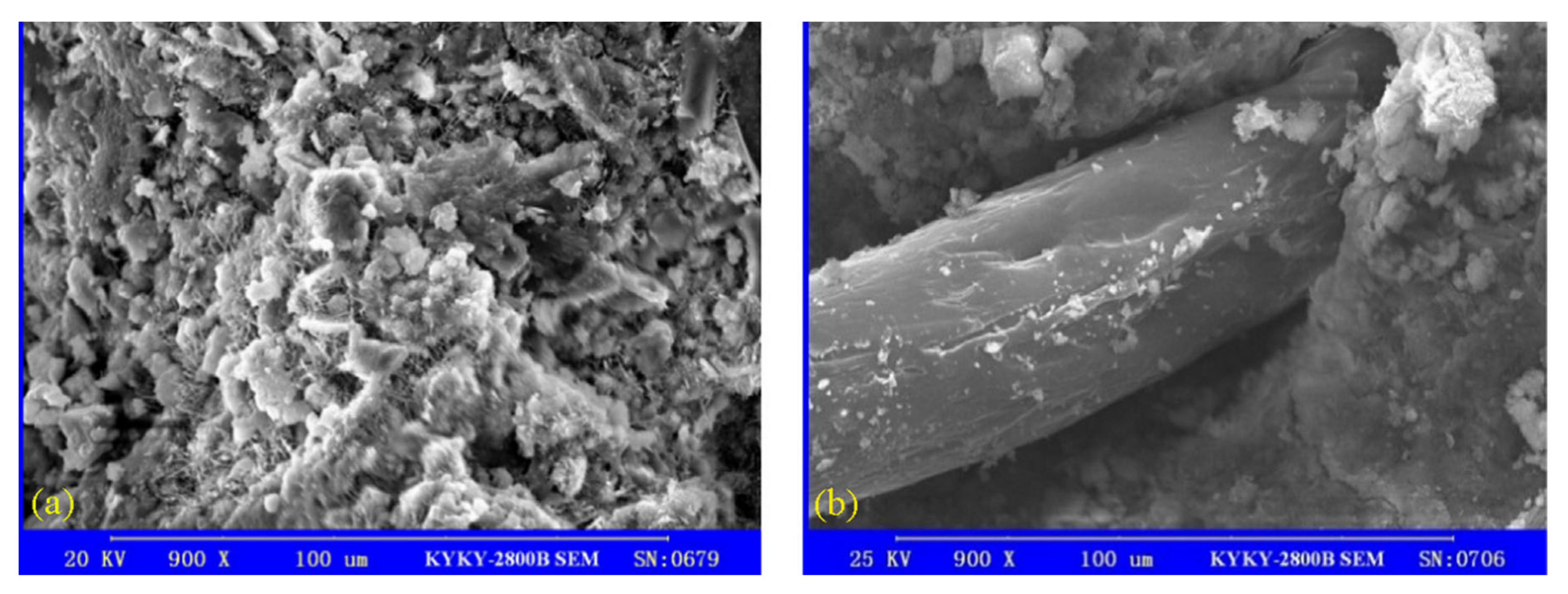 Sustainability 13 11610 g007