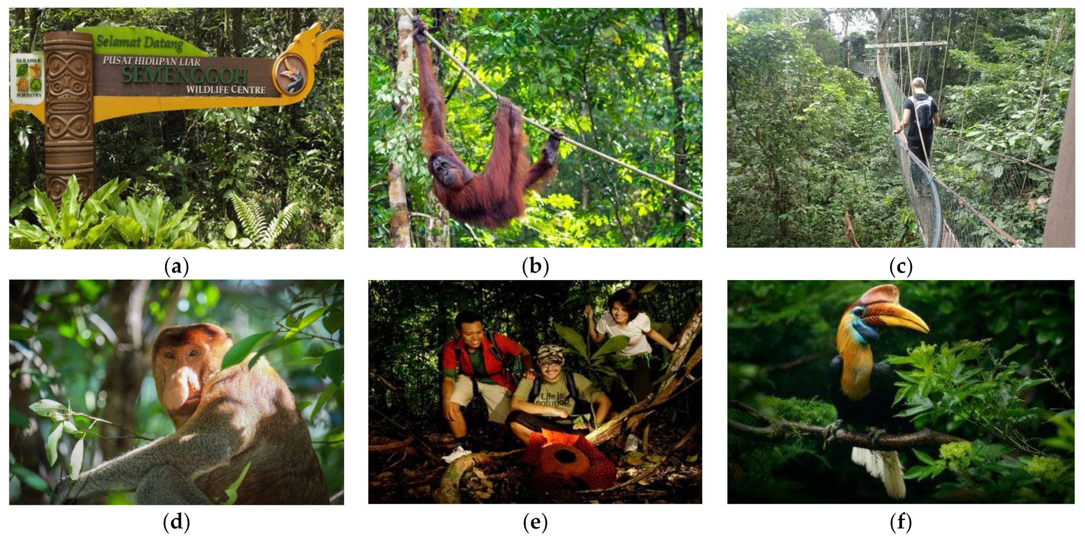 Sustainability 13 11618 g003