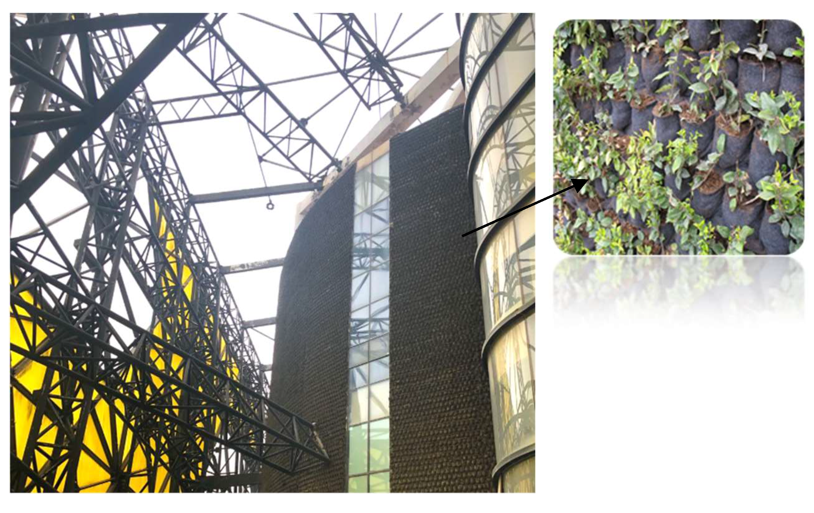 Sustainability 13 11622 g019