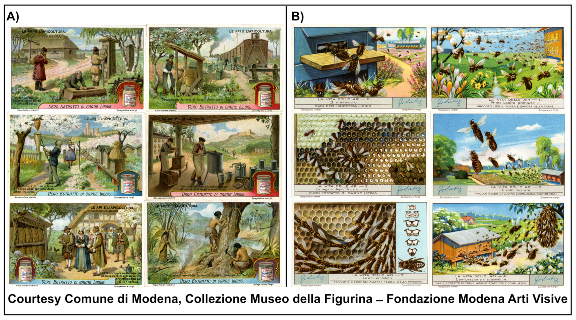 Sustainability 13 11659 g002