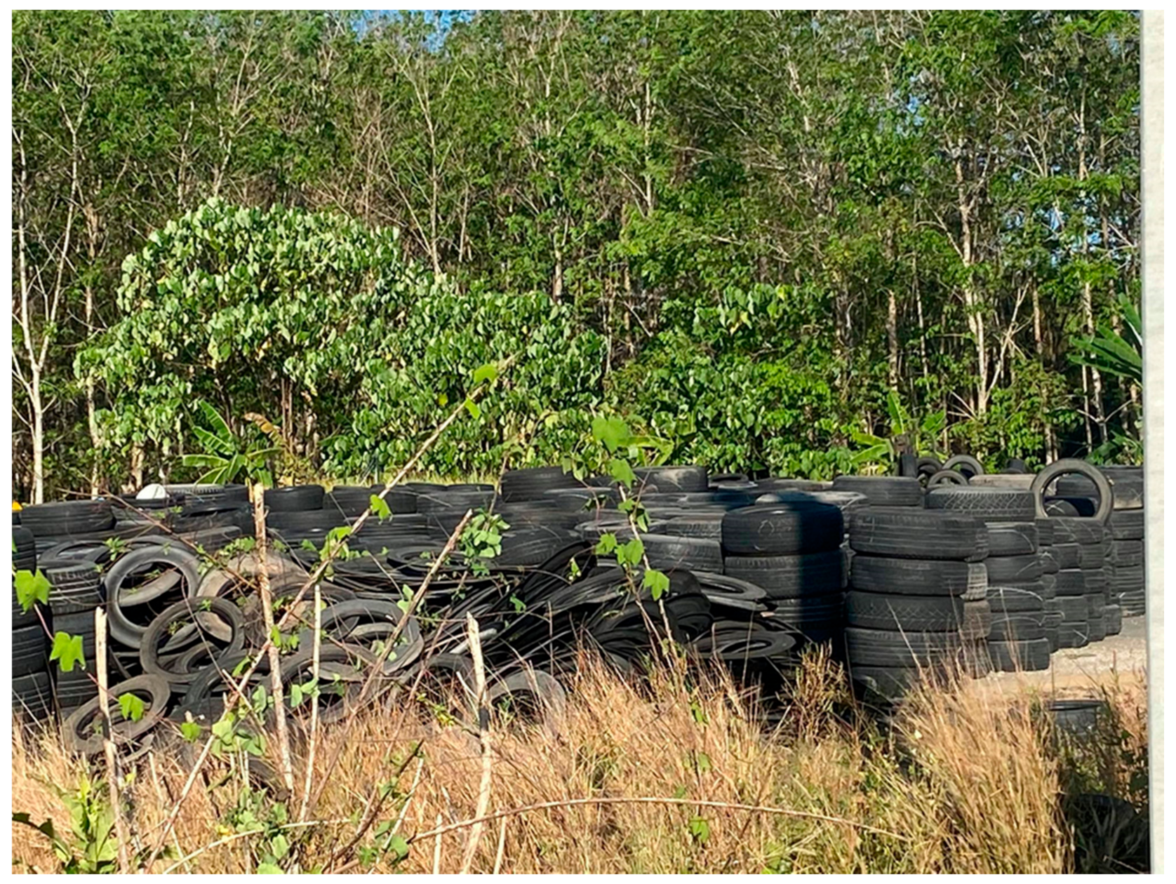 Sustainability 13 11692 g001