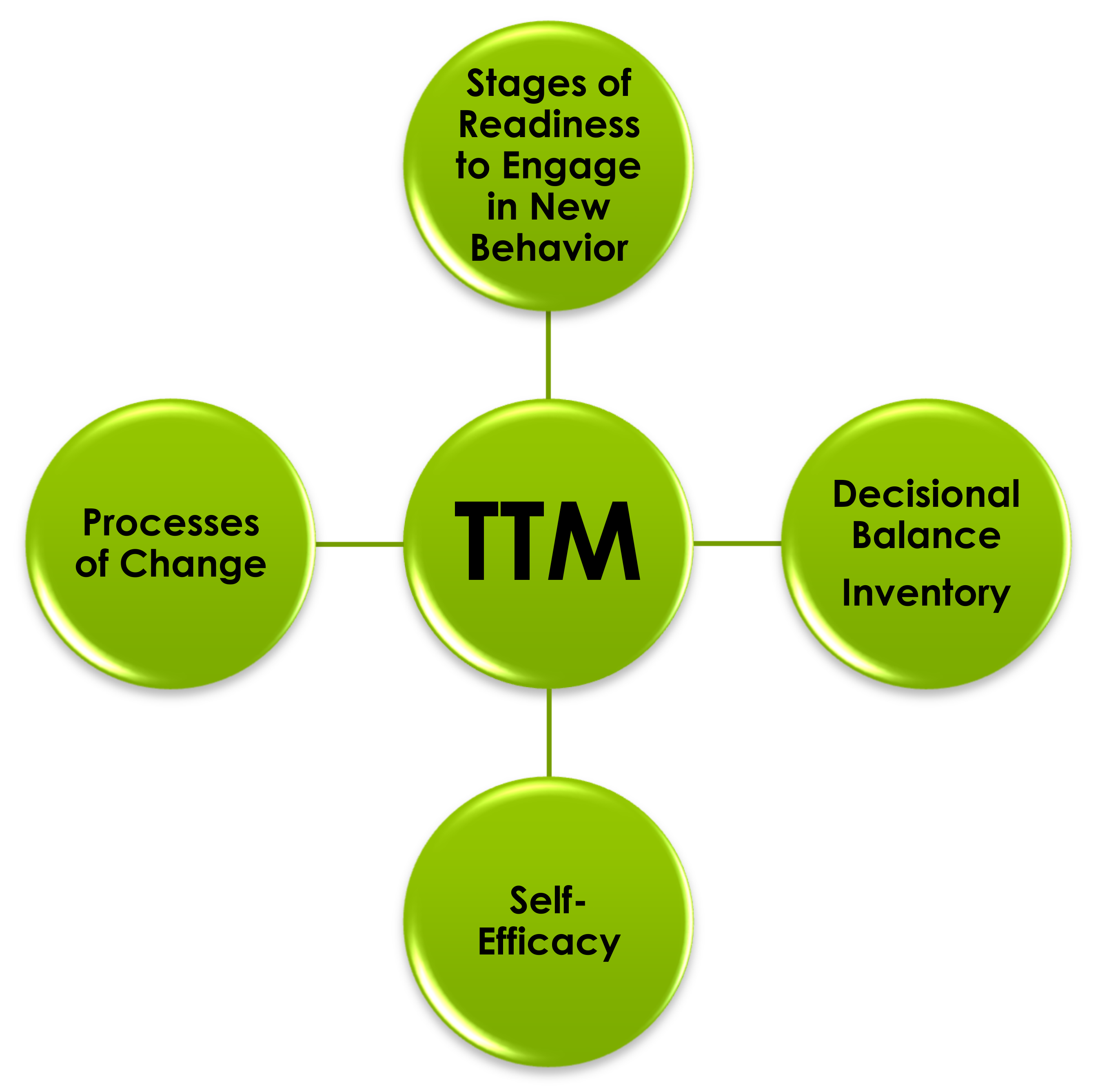 Sustainability 13 11699 g005