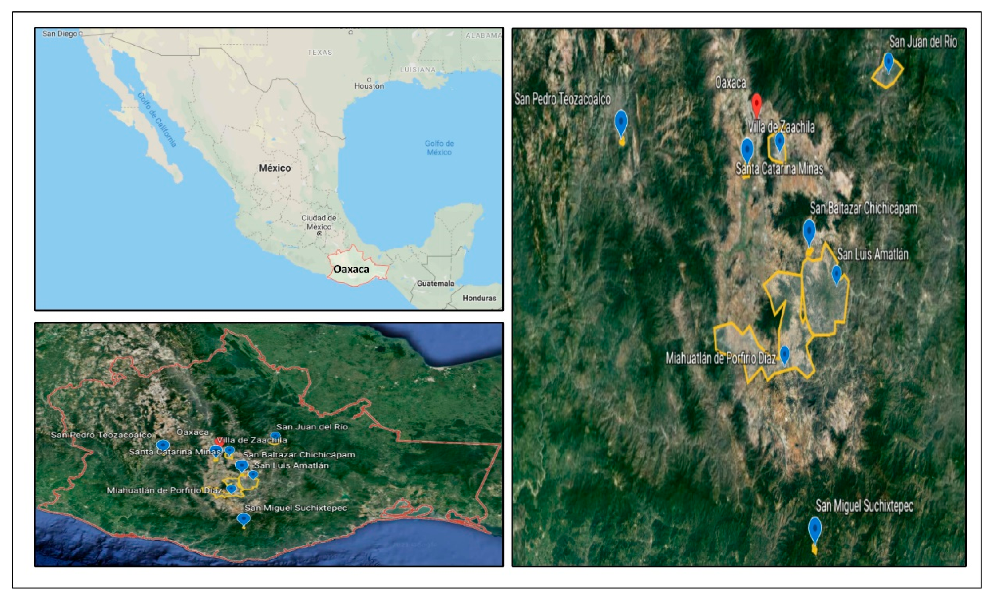 Sustainability 13 11706 g002