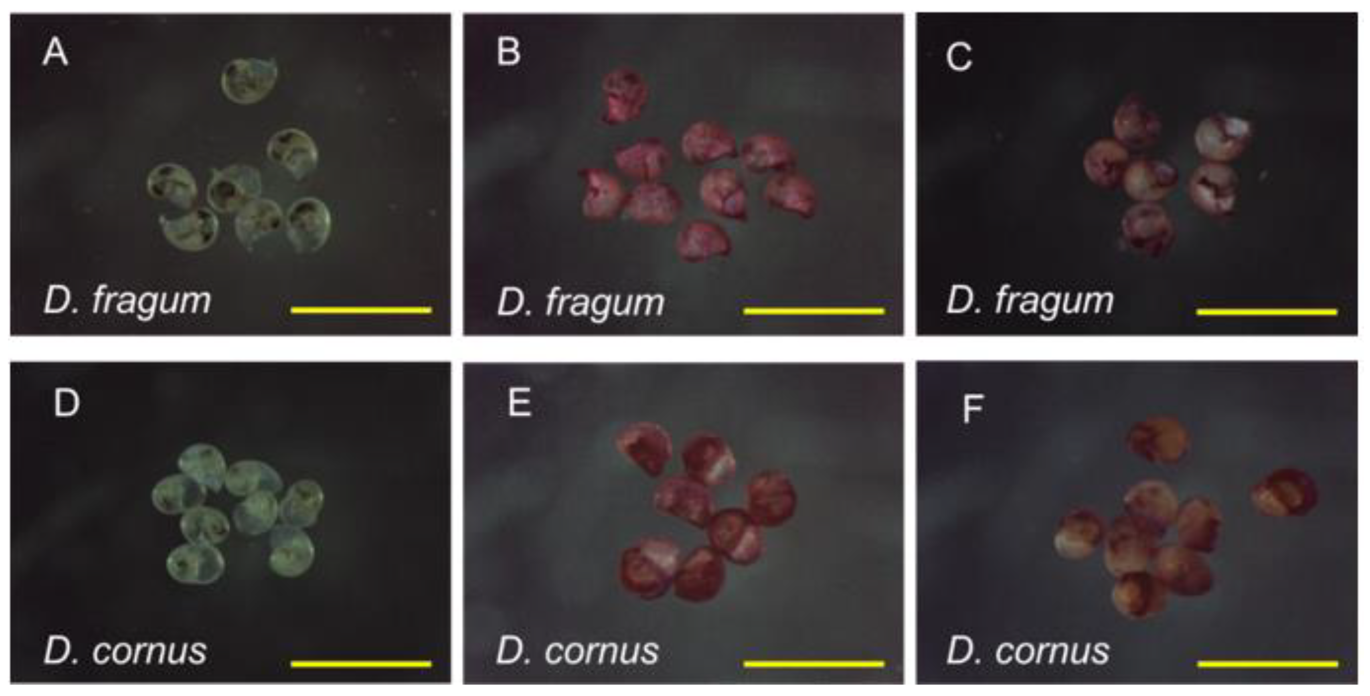 Sustainability 13 11713 g002 Sustainability 13 11713 g002