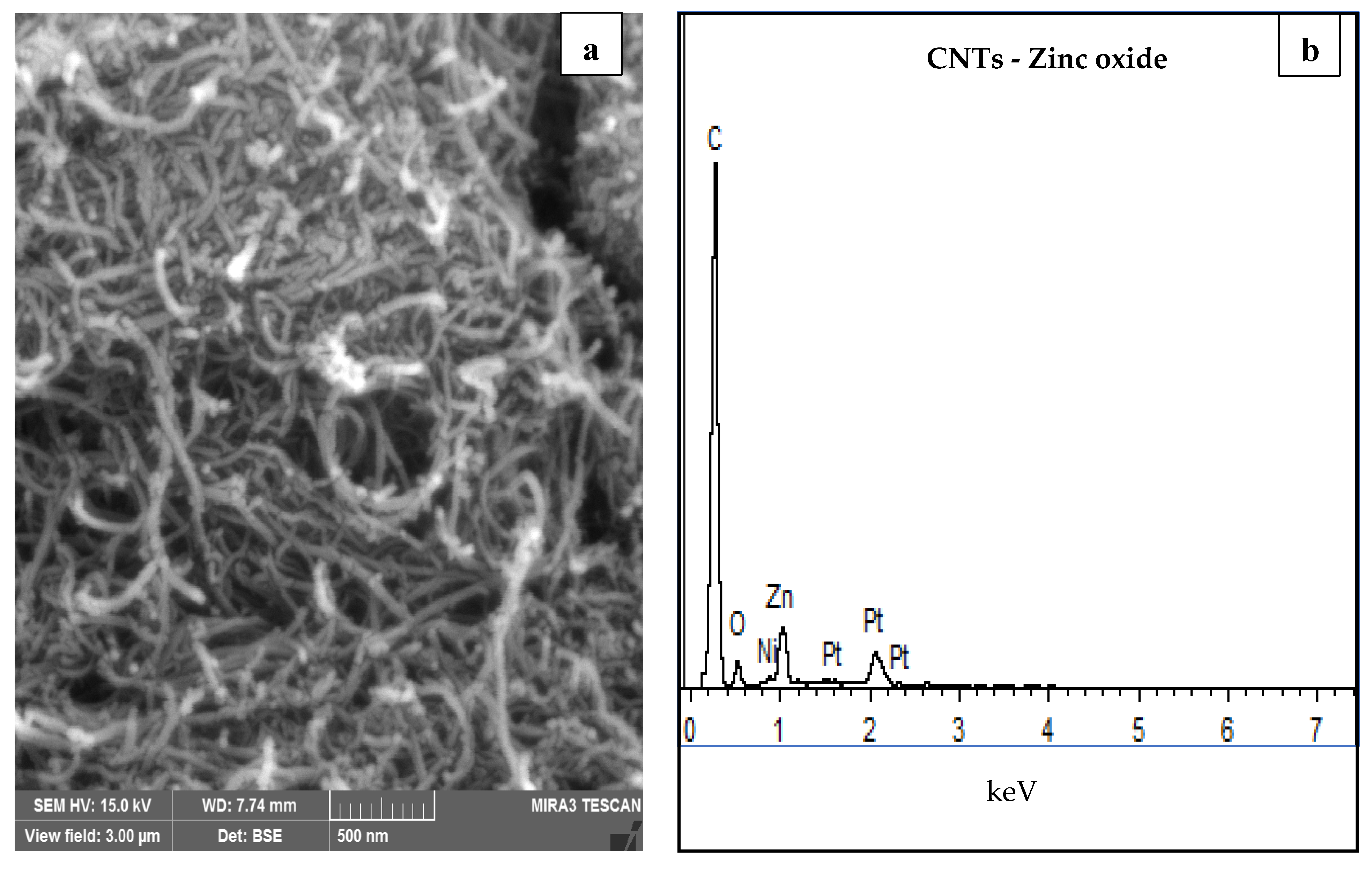 Sustainability 13 11716 g001