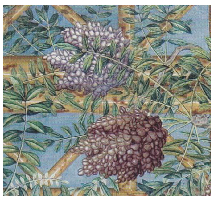 Sustainability 13 11729 g027