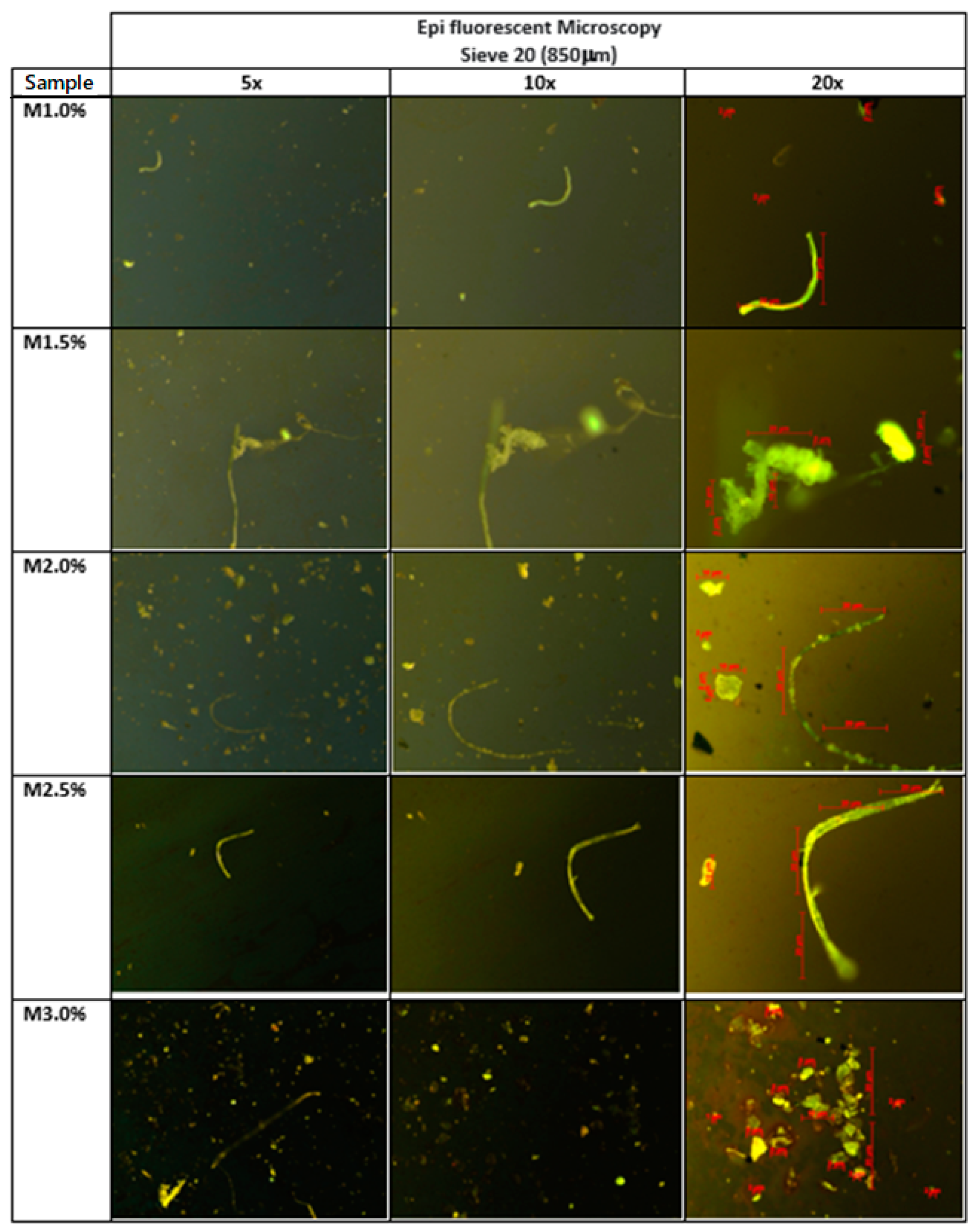 Sustainability 13 11734 g010