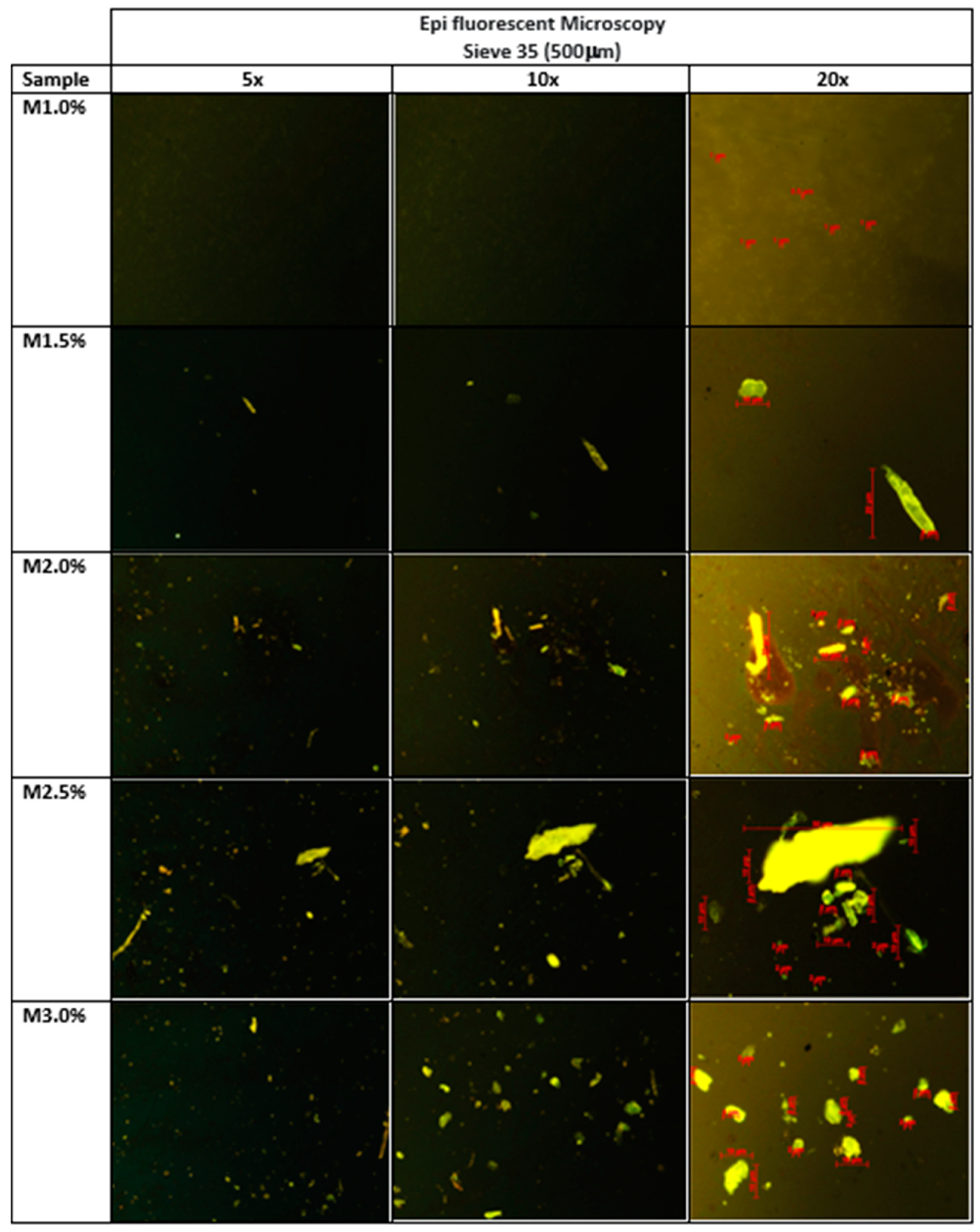 Sustainability 13 11734 g011